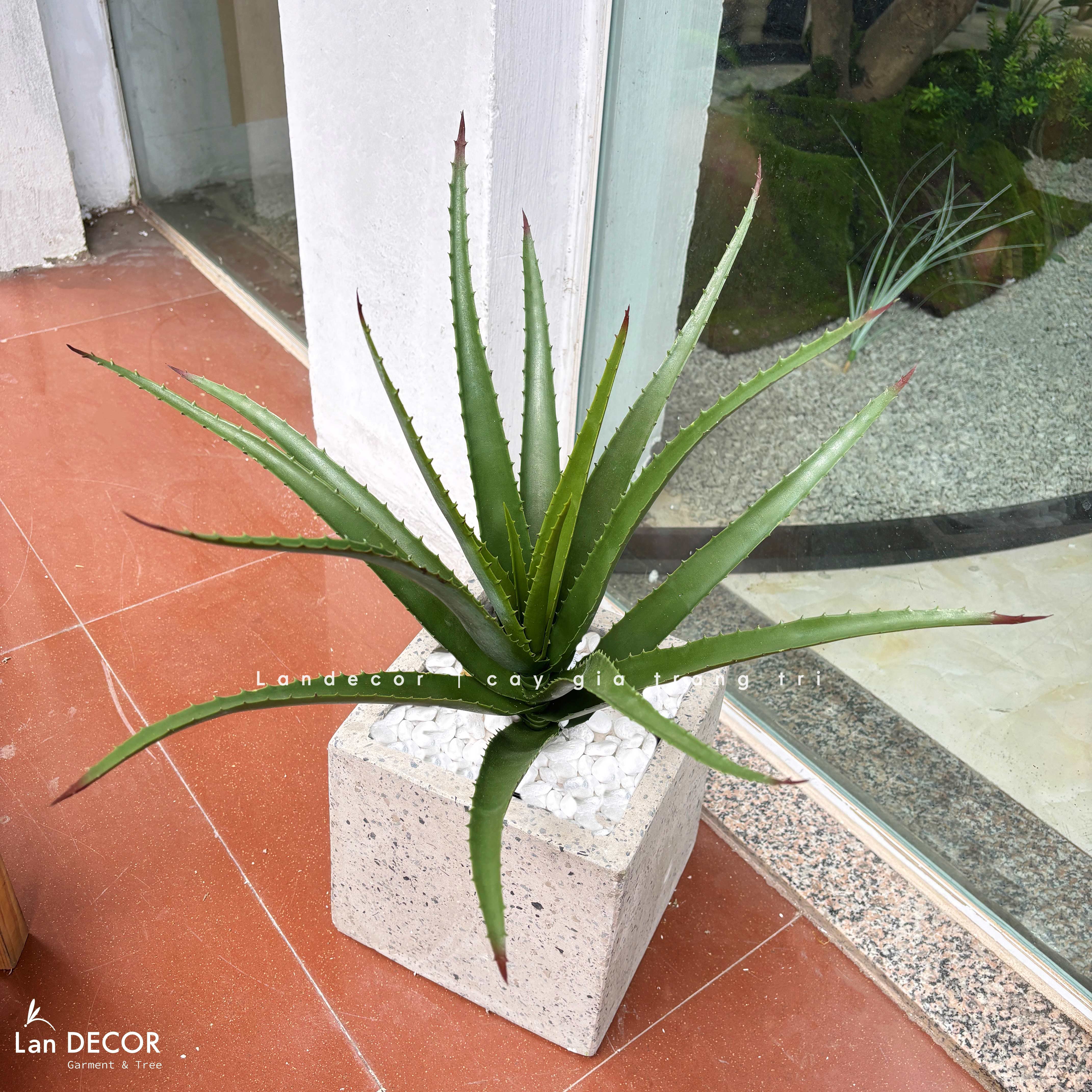 Cây Giả- Cây Yucca Giả Decor Bồn Rêu, Chậu Cây Tiểu Cảnh (16 lá, 45cm)- LC3463
