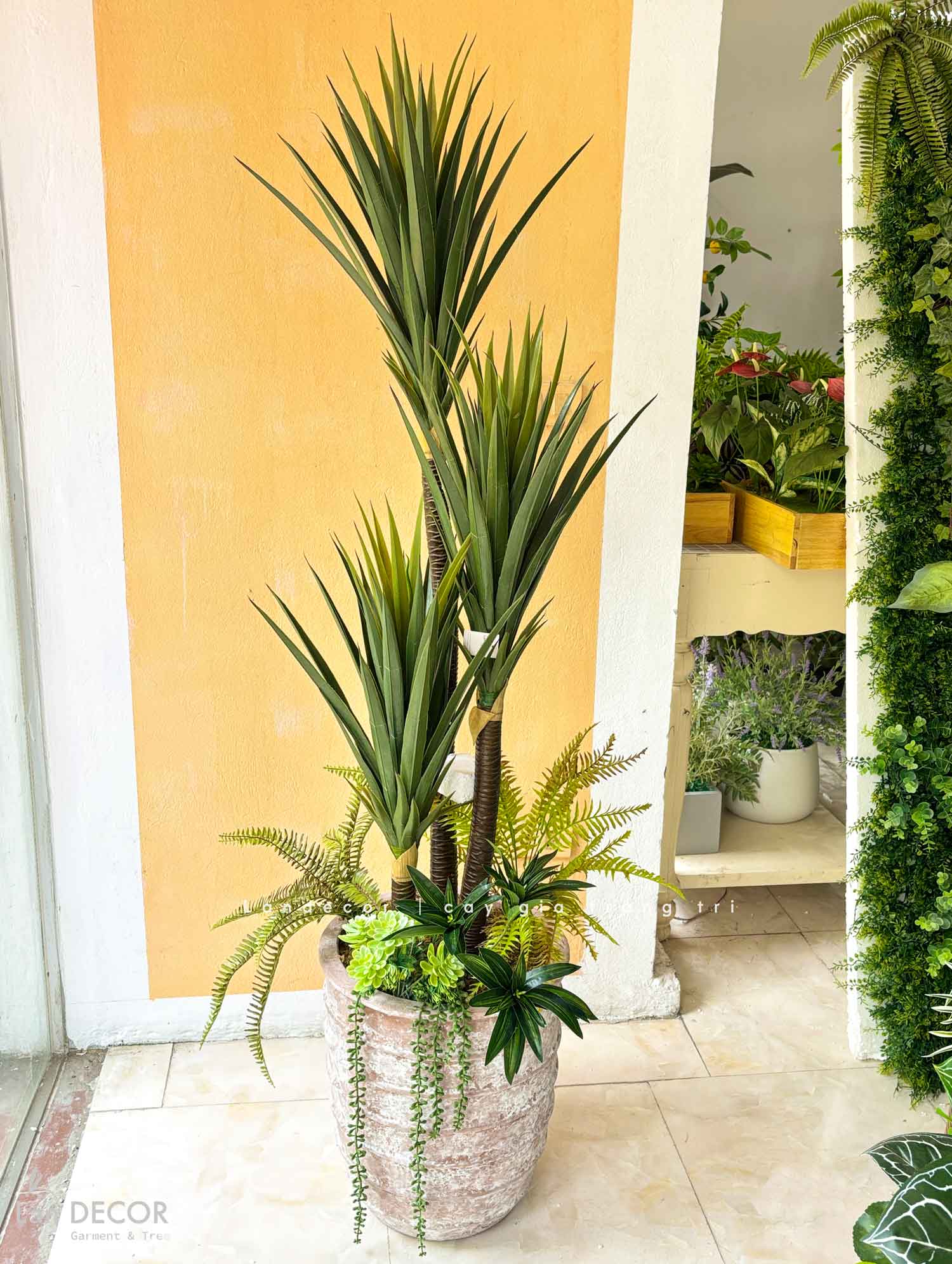 Cây phát tài núi Lan decor - cây giả trang trí 1,5m - LC3005