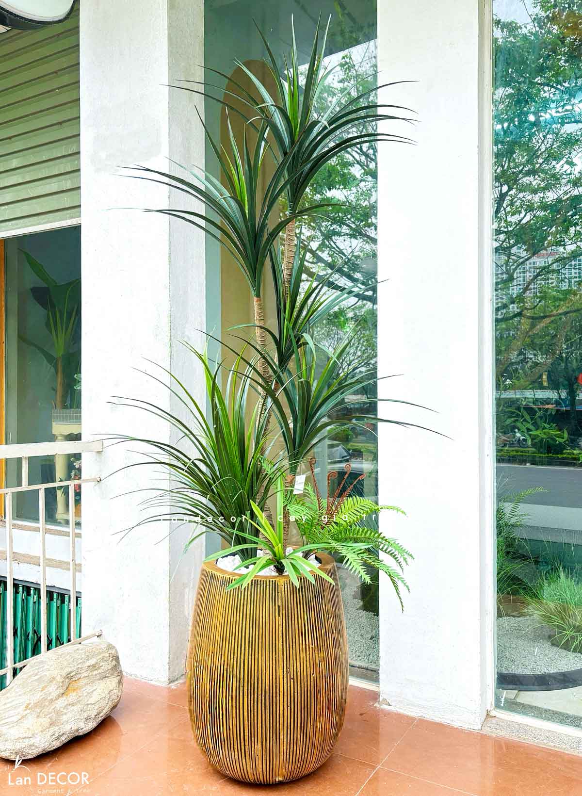 Cây Giả Decor- Cây Yucca Giả Decor Không Gian Phong Cách Sa Mạc Ấn Tượng (165cm)- LC3791