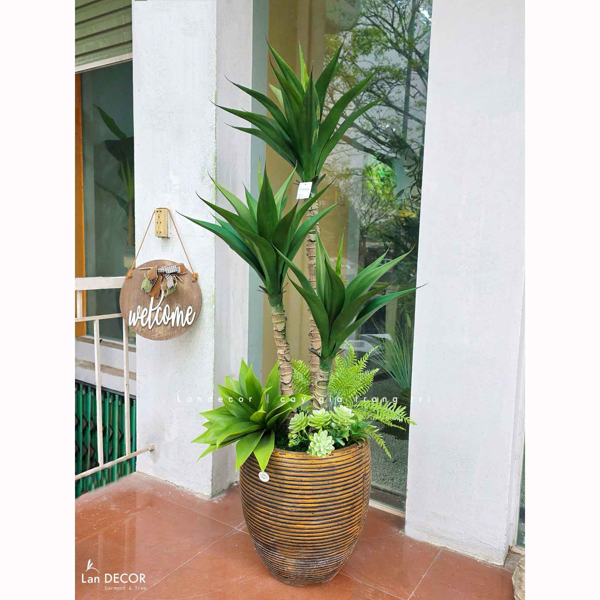 Cây Giả Tiểu Cảnh- Cây Yucca Giả Trang Trí Tiểu Cảnh Xương Rồng Độc Đáo (120cm)- LC3541