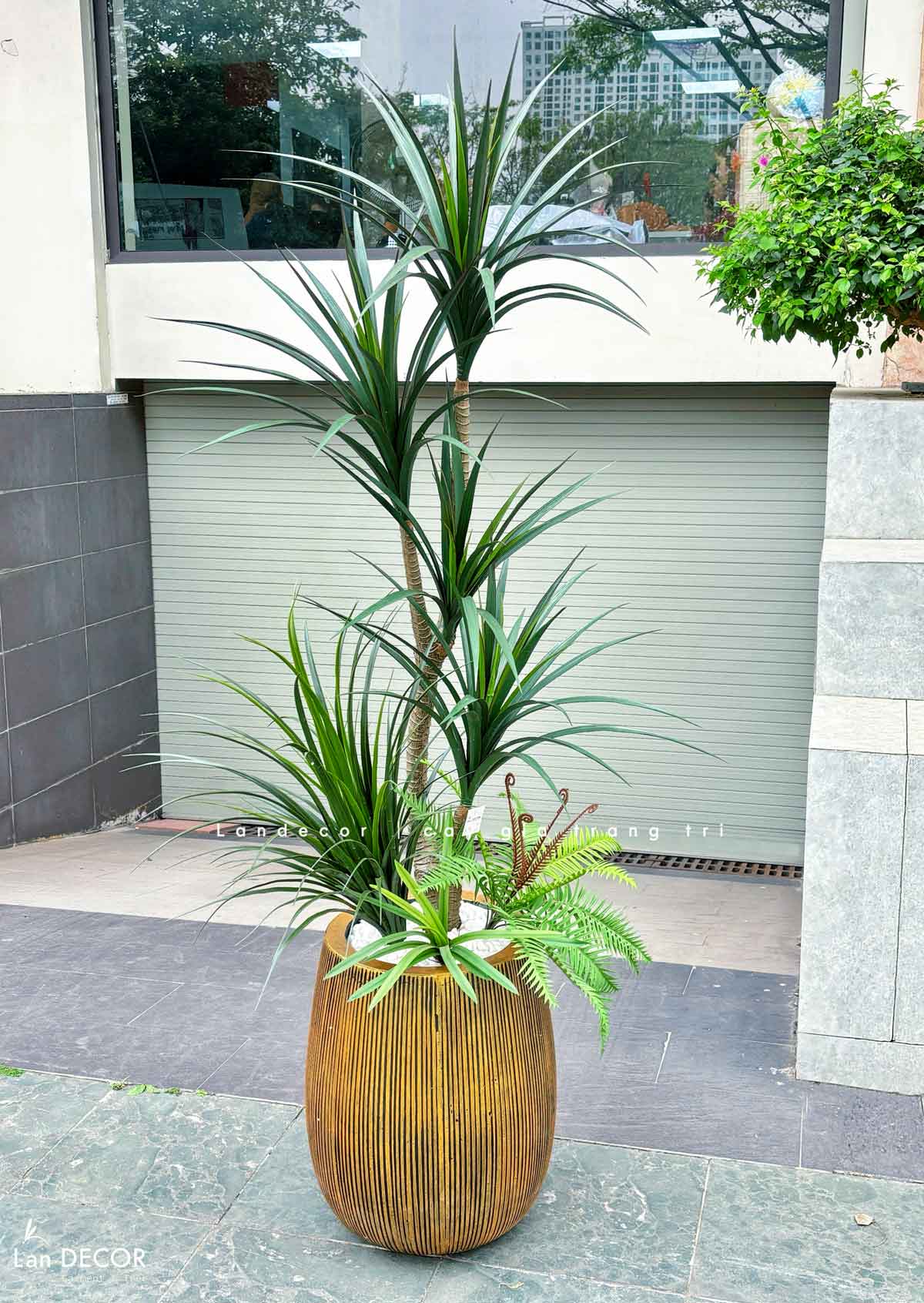 Cây Giả Decor- Cây Yucca Giả Decor Không Gian Phong Cách Sa Mạc Ấn Tượng (165cm)- LC3791