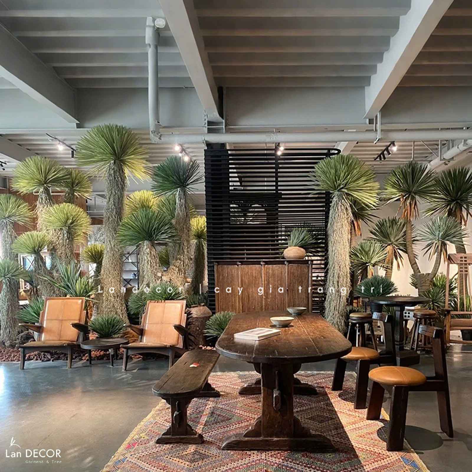 Cây Giả Decor - Cây Yucca Giả Decor Phong Cách Nhiệt Đới (180cm)- LC3854