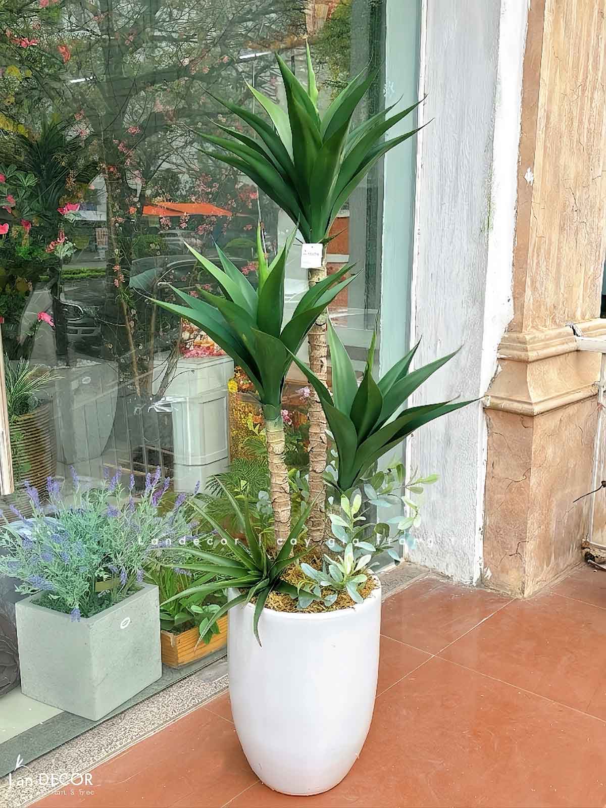 Cây Giả Tiểu Cảnh- Cây Yucca Giả Trang Trí Tiểu Cảnh Xương Rồng Độc Đáo (120cm)- LC3541
