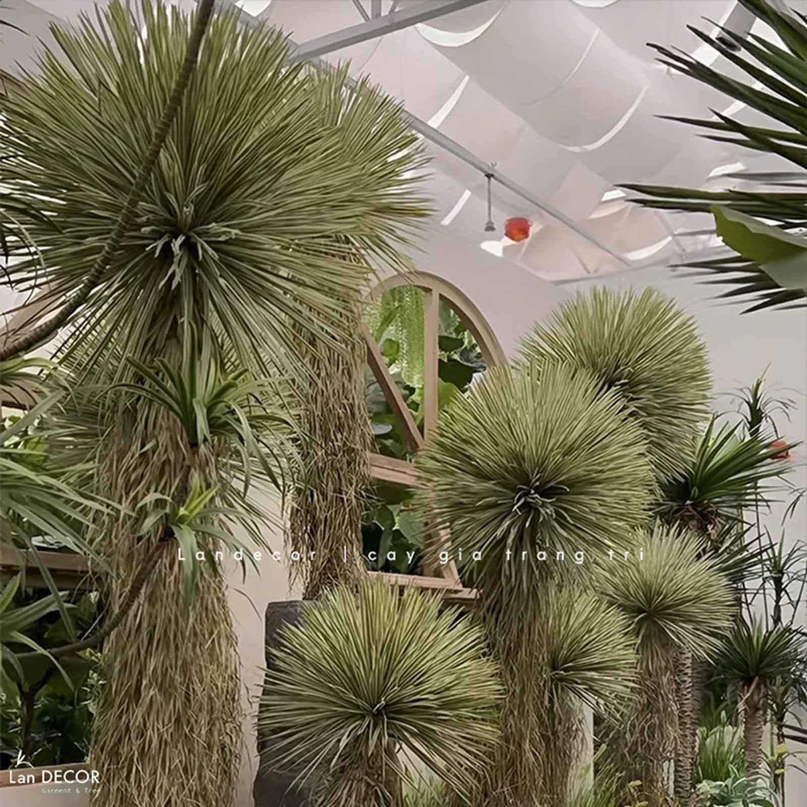 Cây Giả - Cây Yucca Lá Rủ Giả Trang Trí Nội Thất Hiện Đại, Độc Đáo (130cm)- LC3853