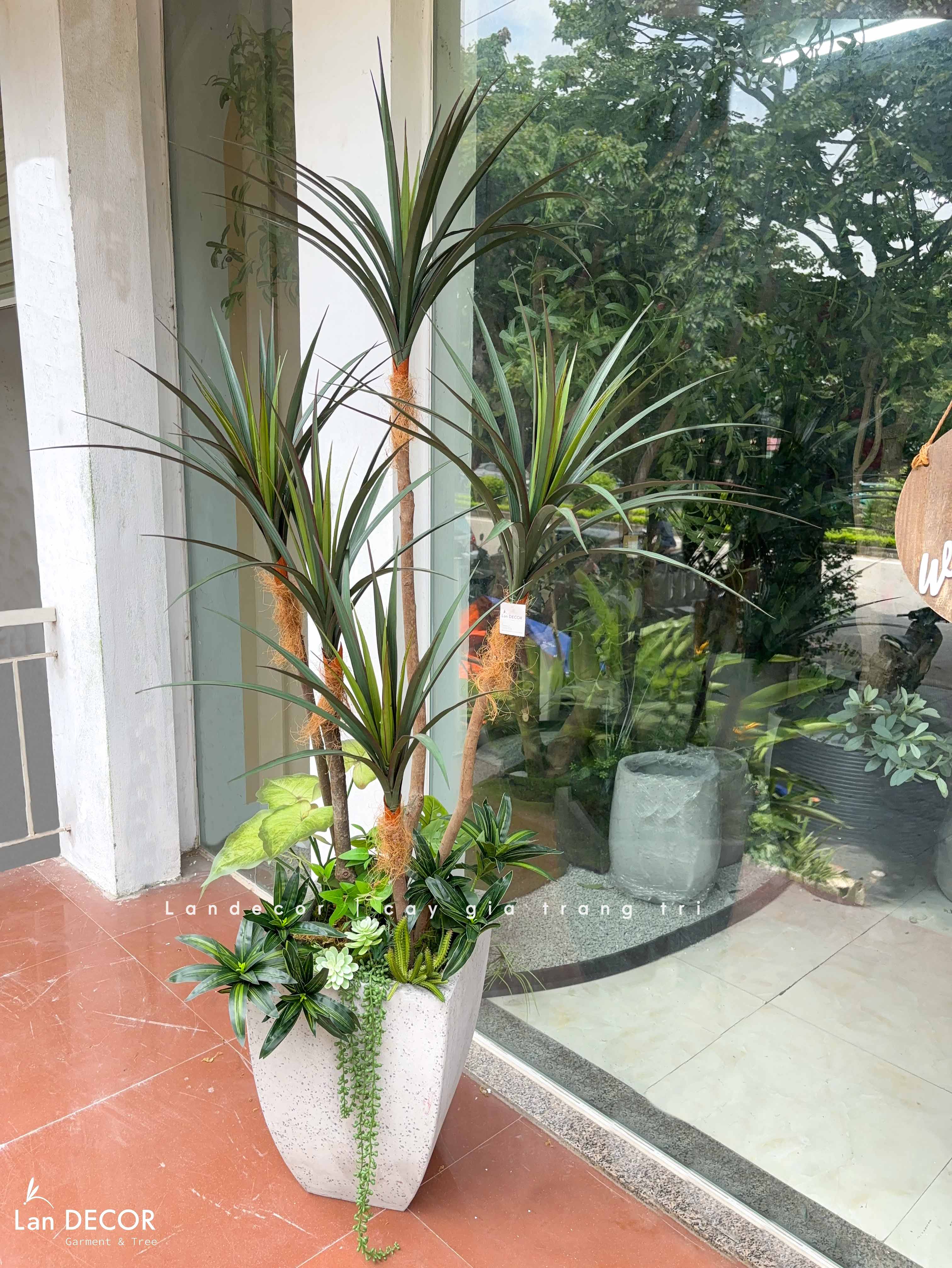 Cây Giả Decor- Cây Yucca Giả Decor Quán Cafe Phong Cách Nhiệt Đới (160cm)- LC3786