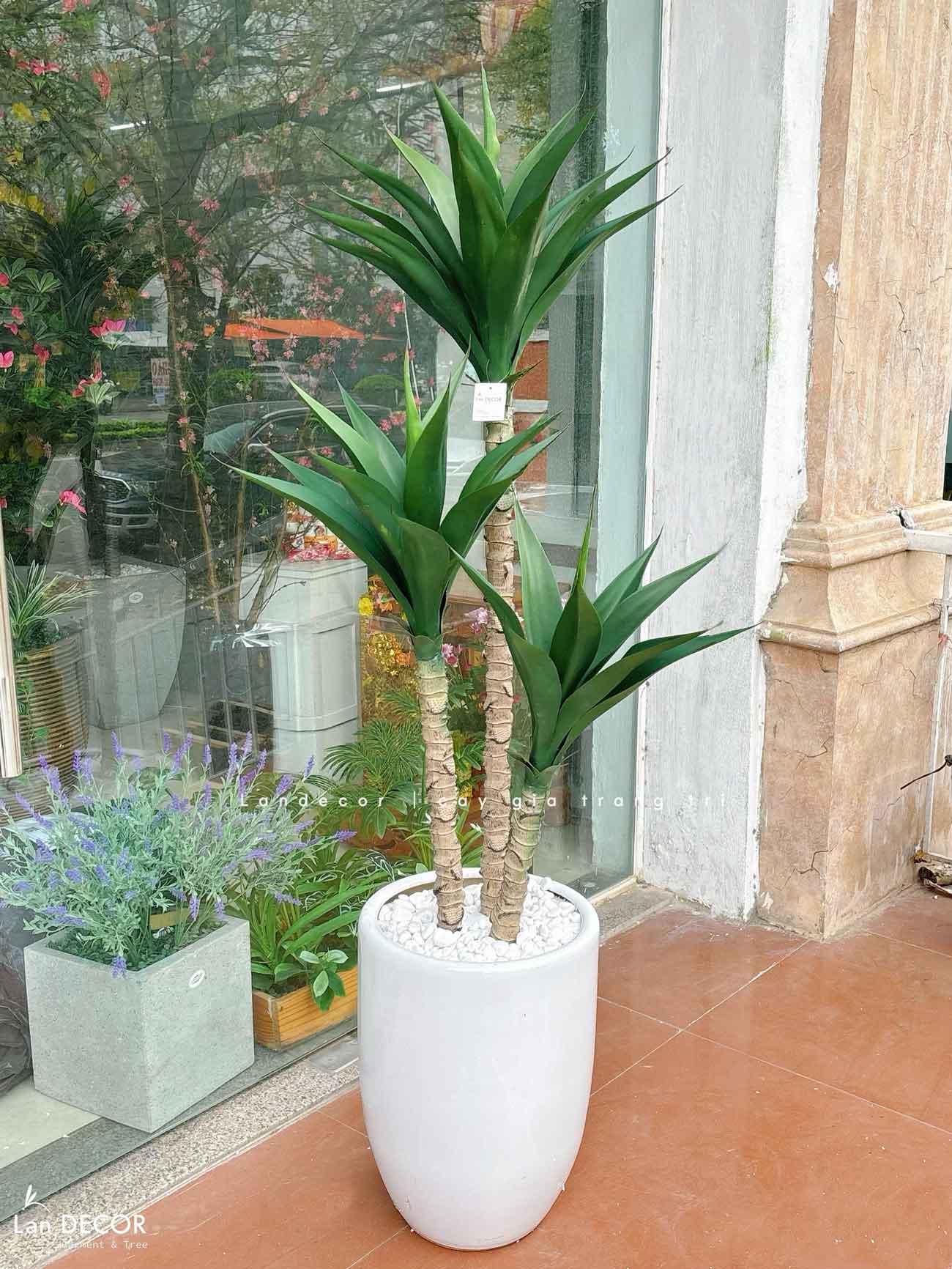 Cây Giả Tiểu Cảnh- Cây Yucca Giả Trang Trí Tiểu Cảnh Xương Rồng Độc Đáo (120cm)- LC3541