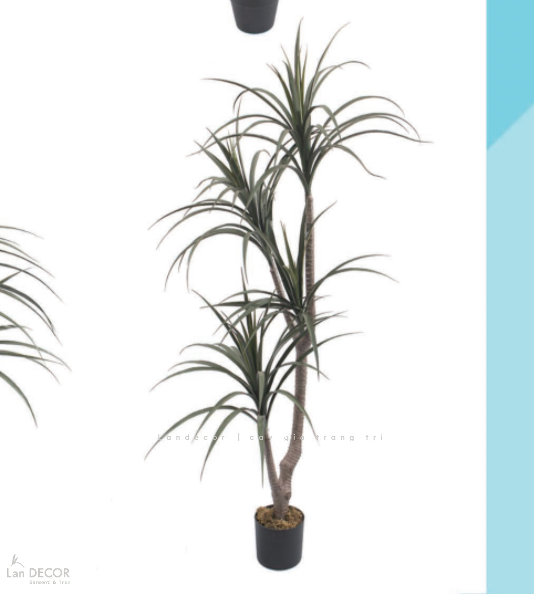 Cây Giả Decor- Cây Yucca Giả Decor Quán Cafe Phong Cách Nhiệt Đới (160cm)- LC3786