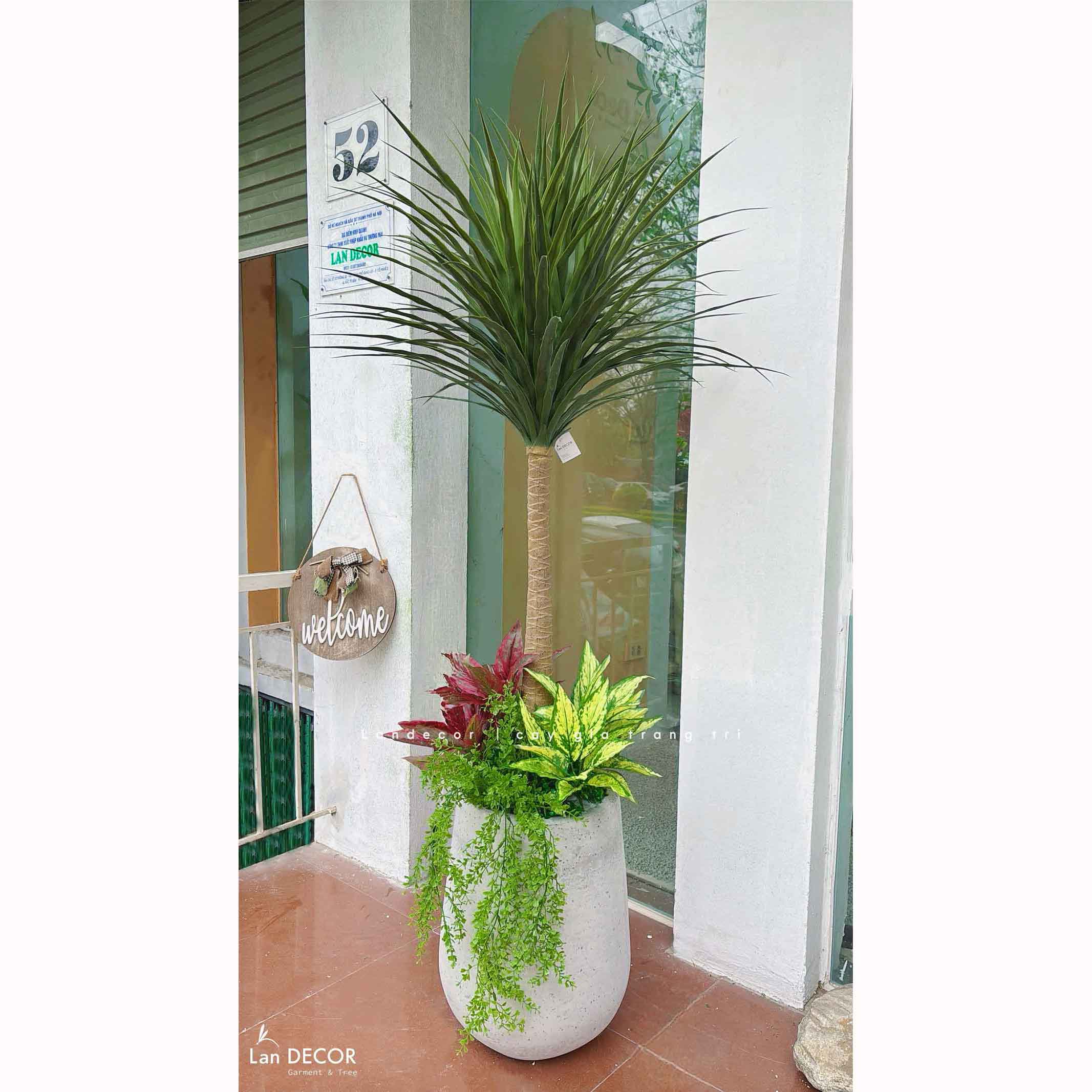 Cây Giả Decor- Cây Yucca Giả Thiết Kế Không Gian Phong Cách Hiện Đại (150cm)- LC3638