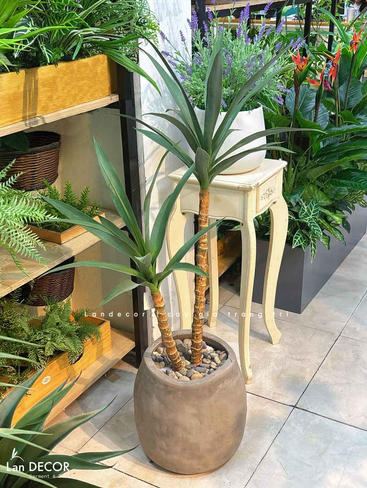 Cây Yucca trang trí Lan decor - cây giả trang trí 100cm - LC3275