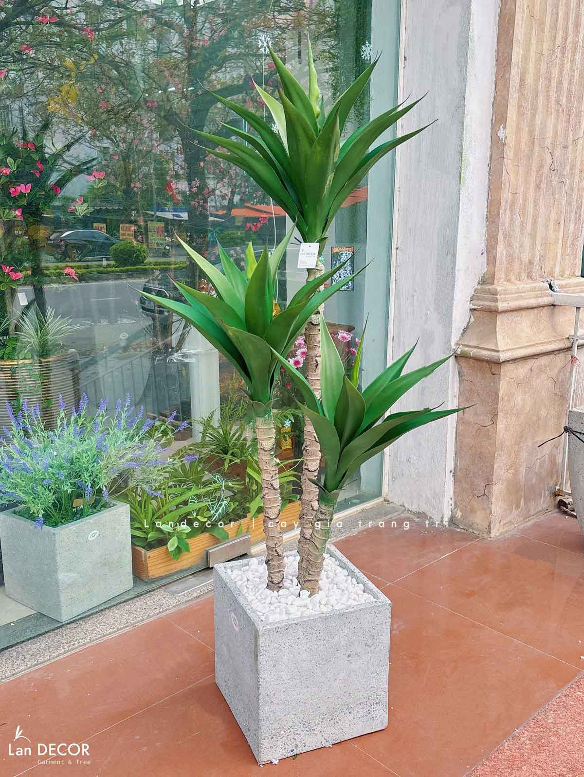 Cây Giả Tiểu Cảnh- Cây Yucca Giả Trang Trí Tiểu Cảnh Xương Rồng Độc Đáo (120cm)- LC3541