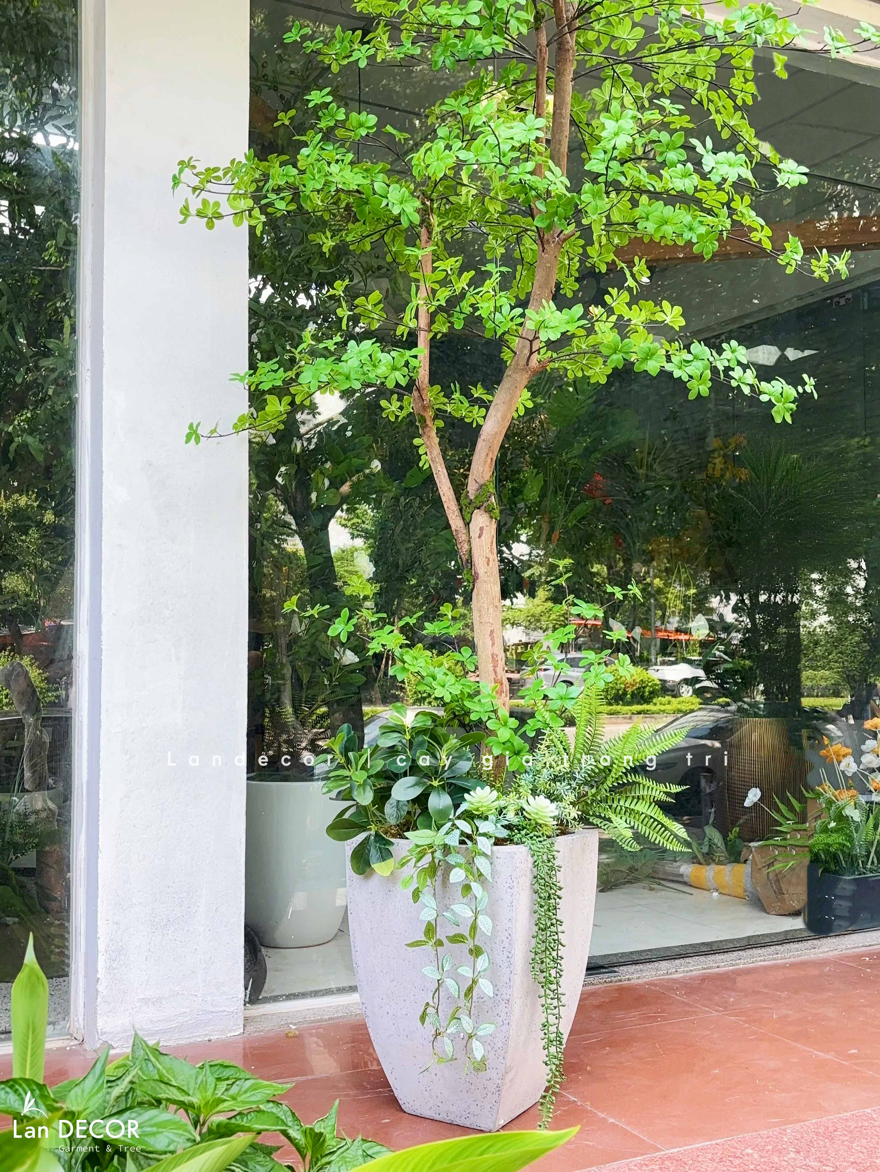 Cây Giả Thiết Kế- Cây Thạch Nam Giả Thiết Kế Nội Thất Xanh Hiện Đại (270cm)- CC1379