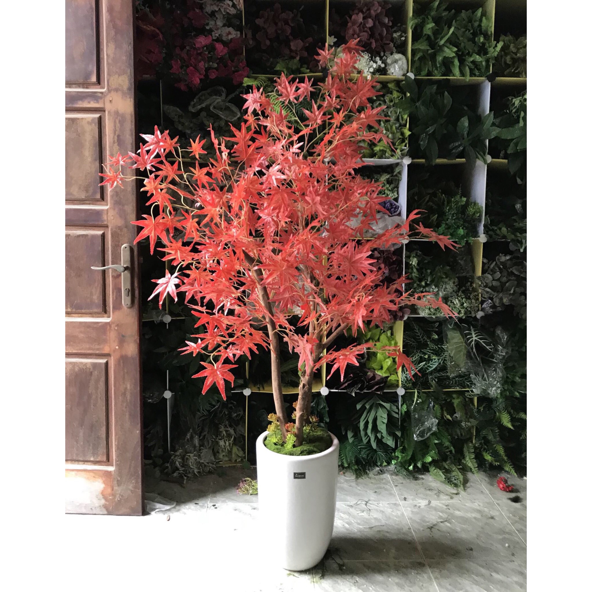 Chậu cây phong lá đỏ trang trí không gian hiện đại sang trọng (160cm) - CC096