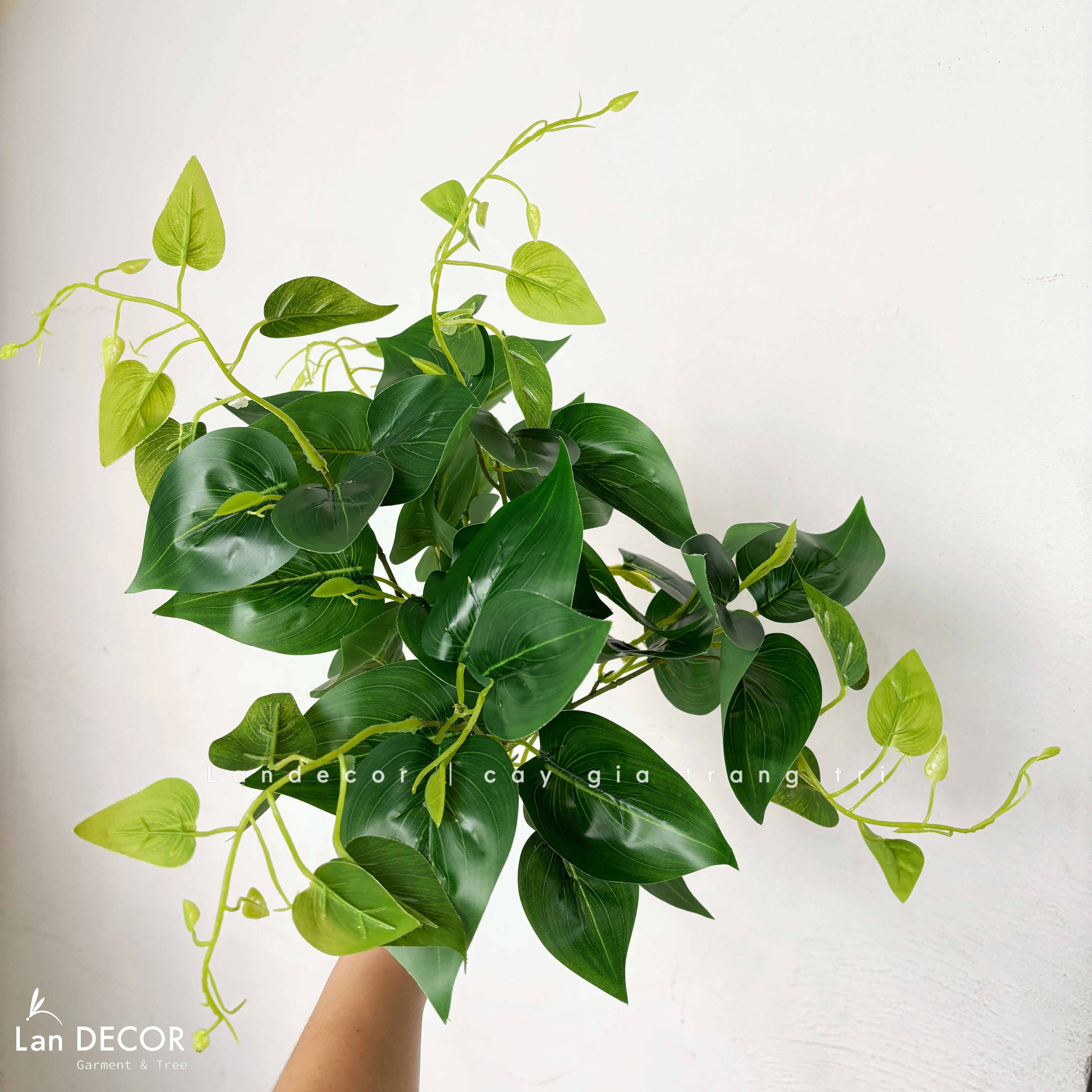 Cành Lá Giả - Cành Vạn Niên Giả Trang Trí Giỏ Treo, Thiết Kế Chậu Cây Giả Decor (50cm)- HC1440