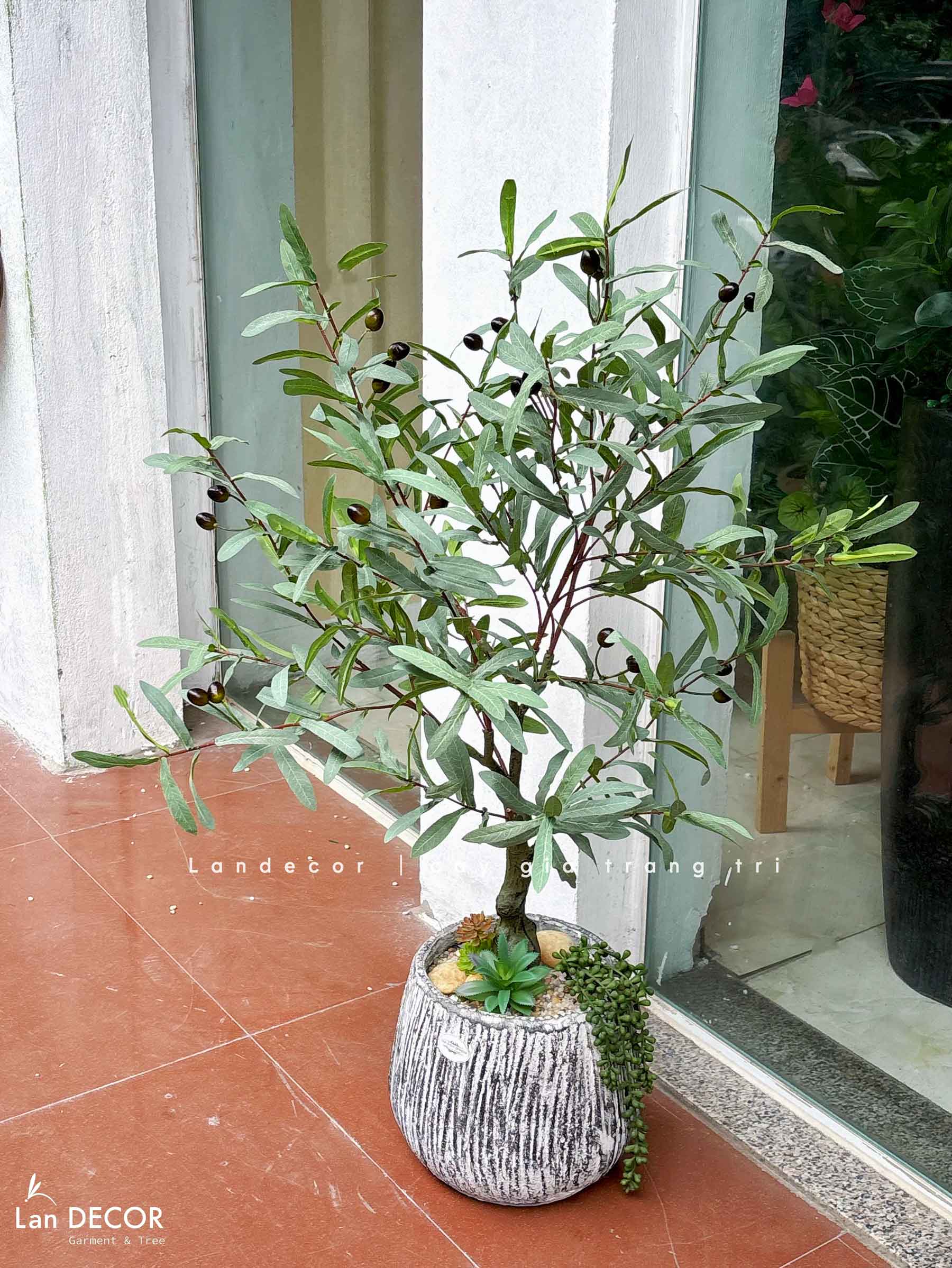 Cây Giả Trang Trí- Cây Olive Giả Trang Trí Tiểu Cảnh Nhỏ Xinh- CC1440