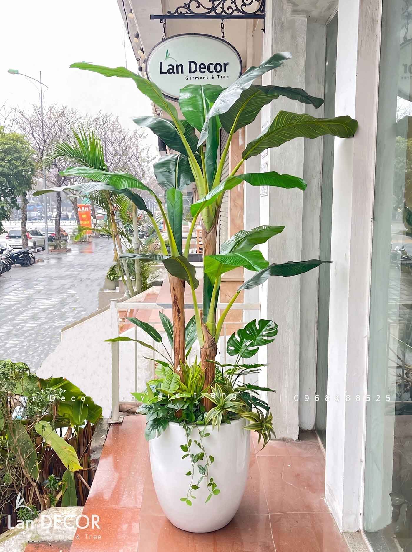 Cây Chuối Giả Decor Phong Cách Sân Vườn (2m)- LC2648-1-MIX