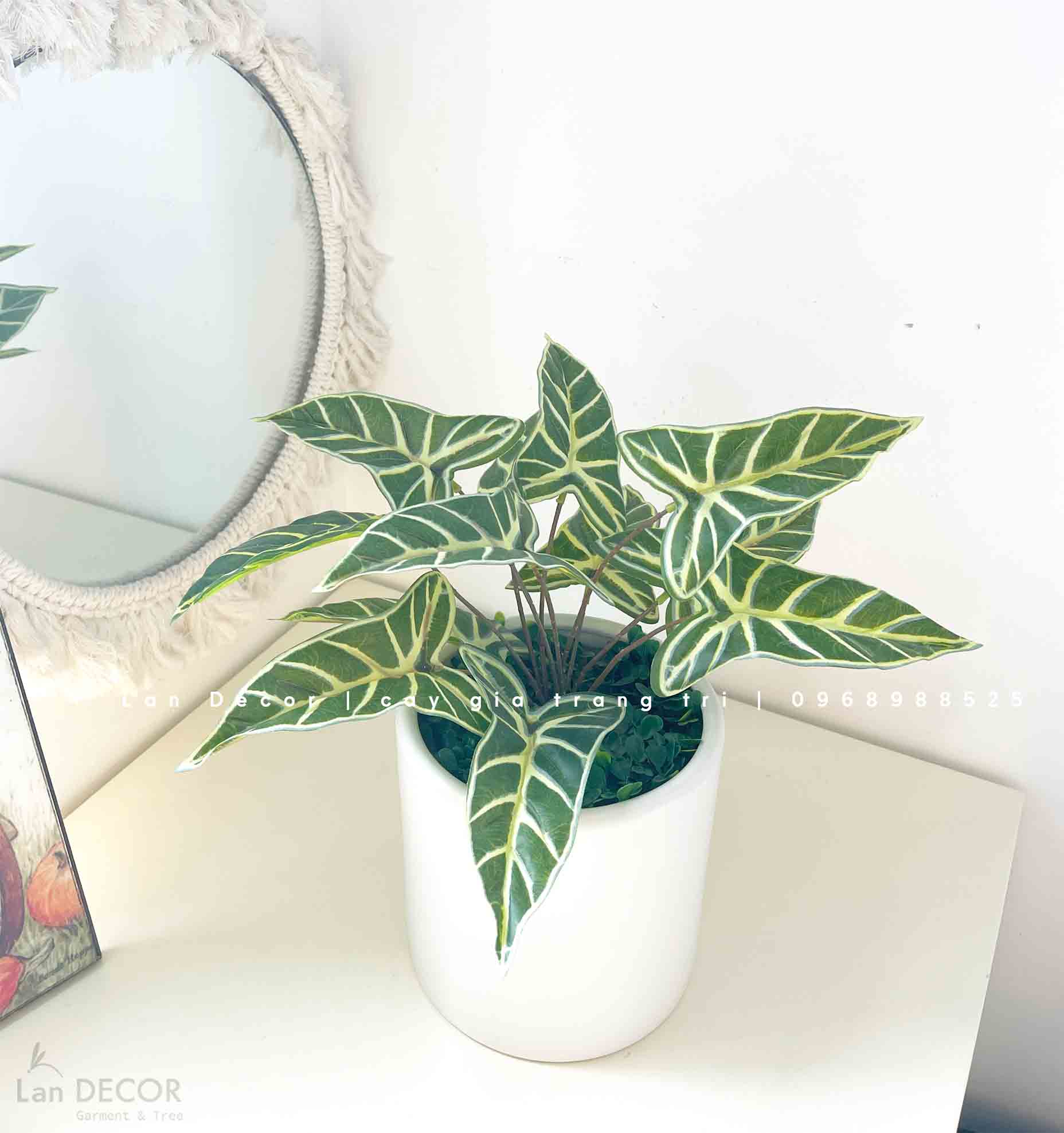 CHẬU BÁN HẠ ĐỂ BÀN TRANG TRÍ NỘI THẤT- CC901