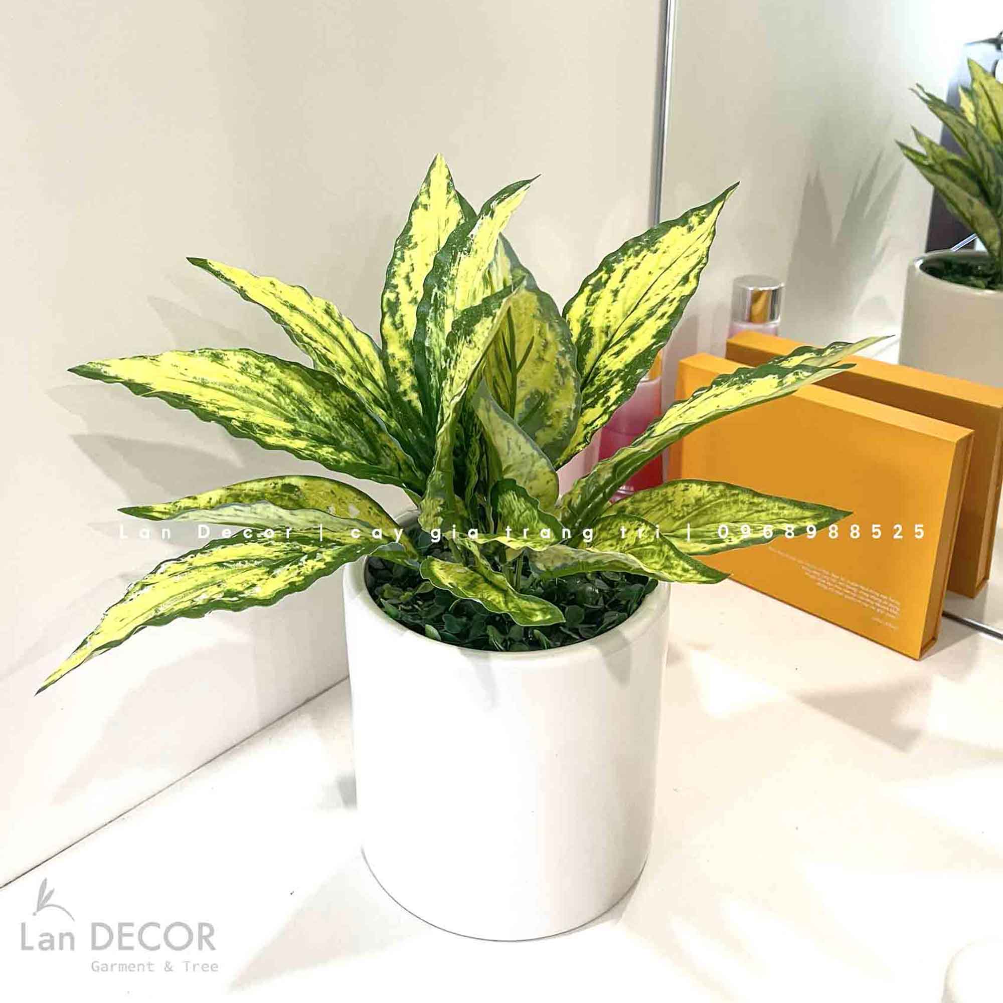 CHẬU LÁ ĐỐM VÀNG ĐỂ BÀN DECOR KHÔNG GIAN XINH- CC903