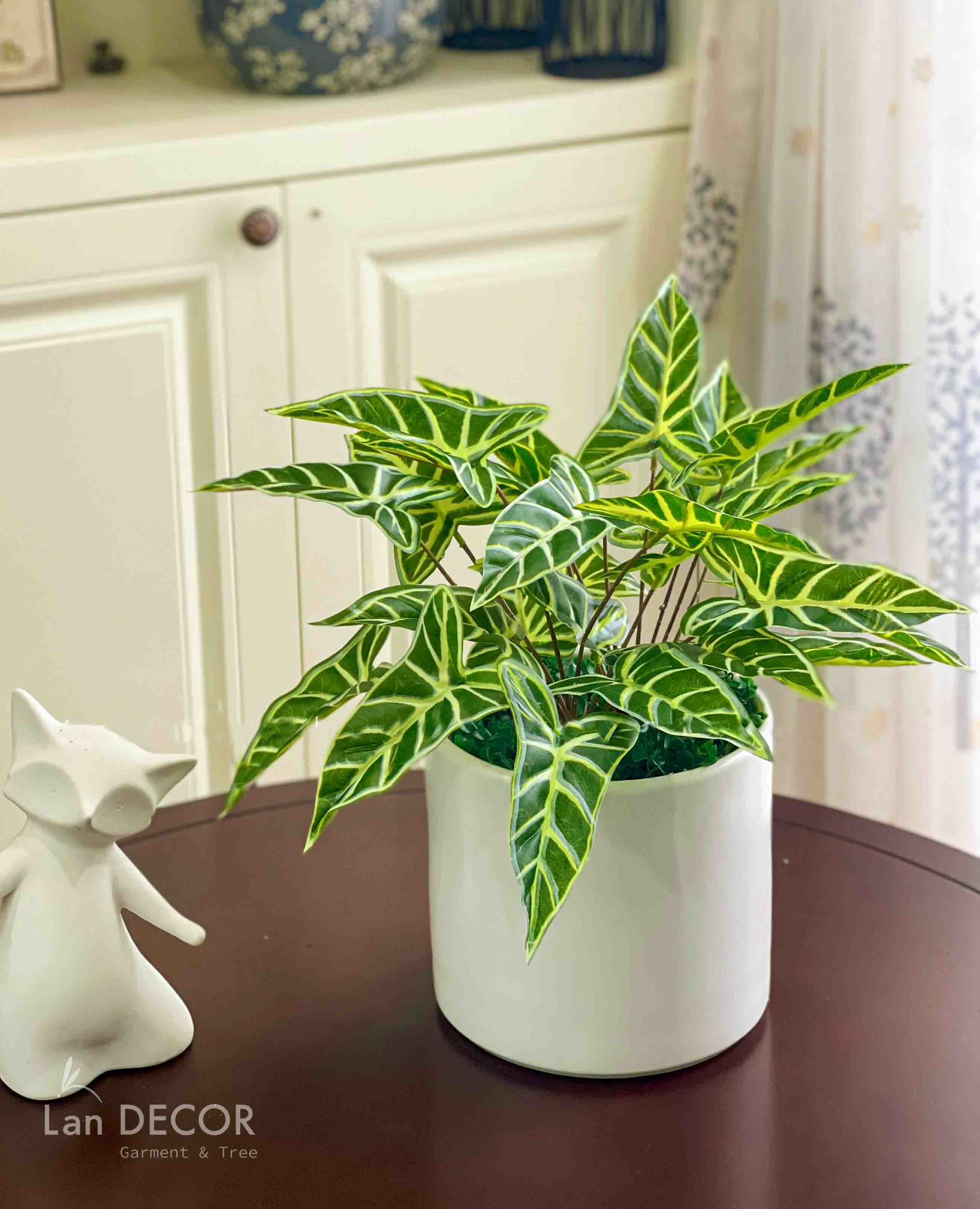 CHẬU CÂY BÁN HẠ DECOR NHÀ ĐỘC ĐÁO- CC689