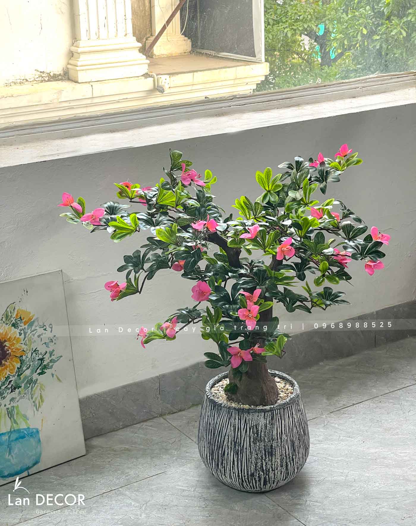 Cây hoa đỗ quyên trang trí phòng khách đẹp (80cm) - CC983
