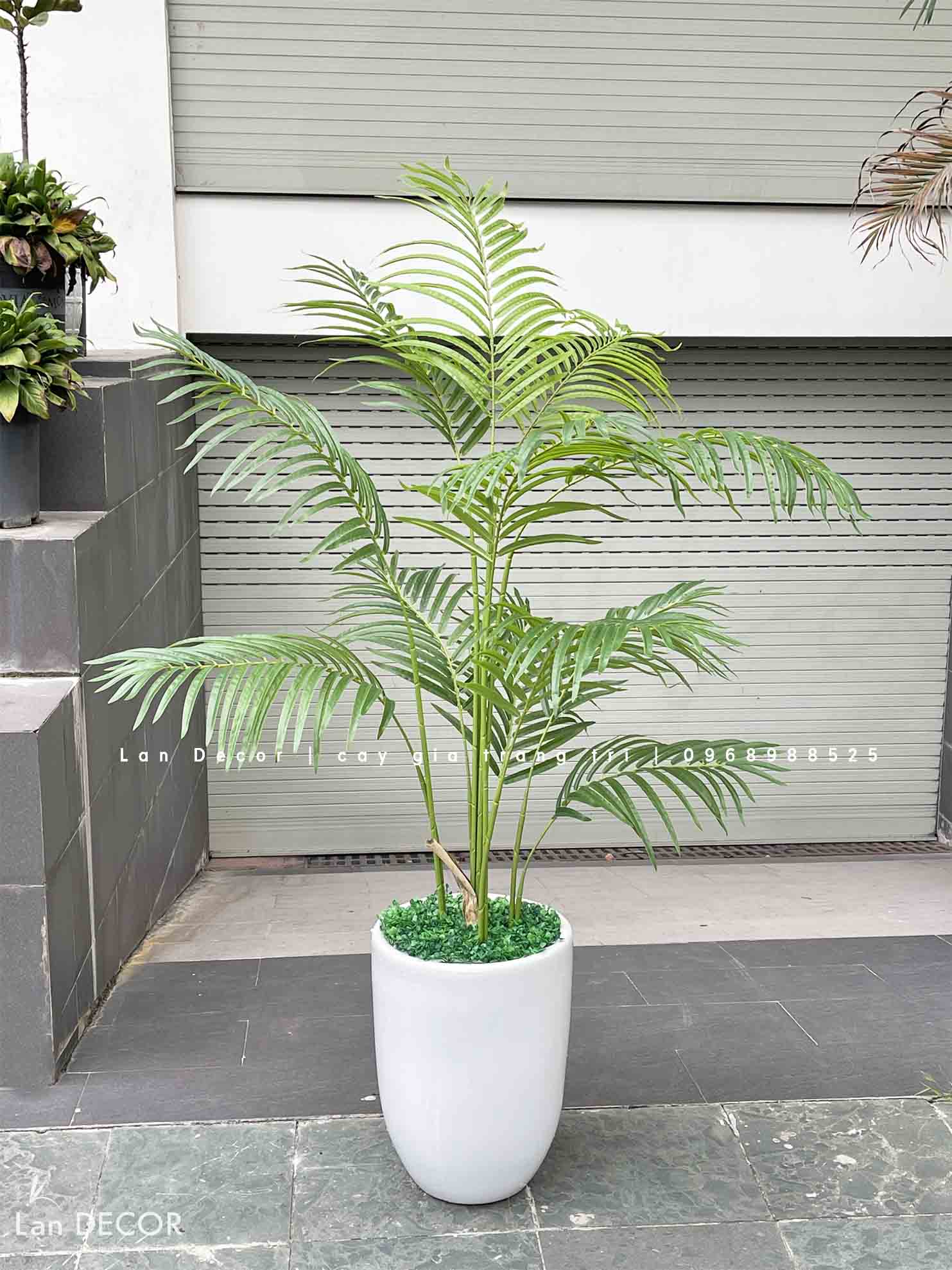 Cây giả decor - Cây dừa cảnh trang trí không gian xanh mát (150cm)- LC3038