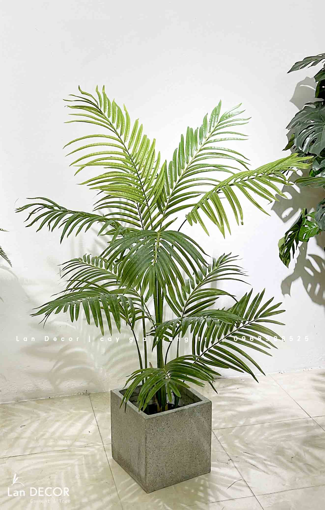 Cây giả decor - Cây dừa cảnh trang trí không gian xanh mát (150cm)- LC3038