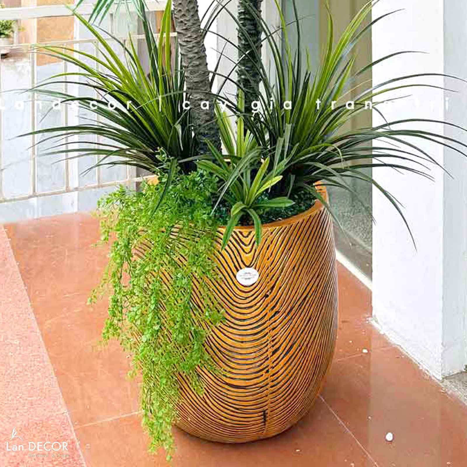 Chậu Xi Măng Trồng Cây Tiểu Cảnh Họa Tiết Sóng Độc Đáo (45x55cm)- CXM045
