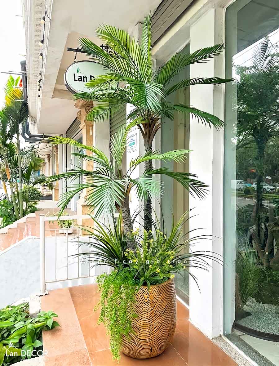 Cây Giả - Cây Dừa Giả 2 Thân Thiết Kế Văn Phòng Hiện Đại (210cm)- LC3567- ghép