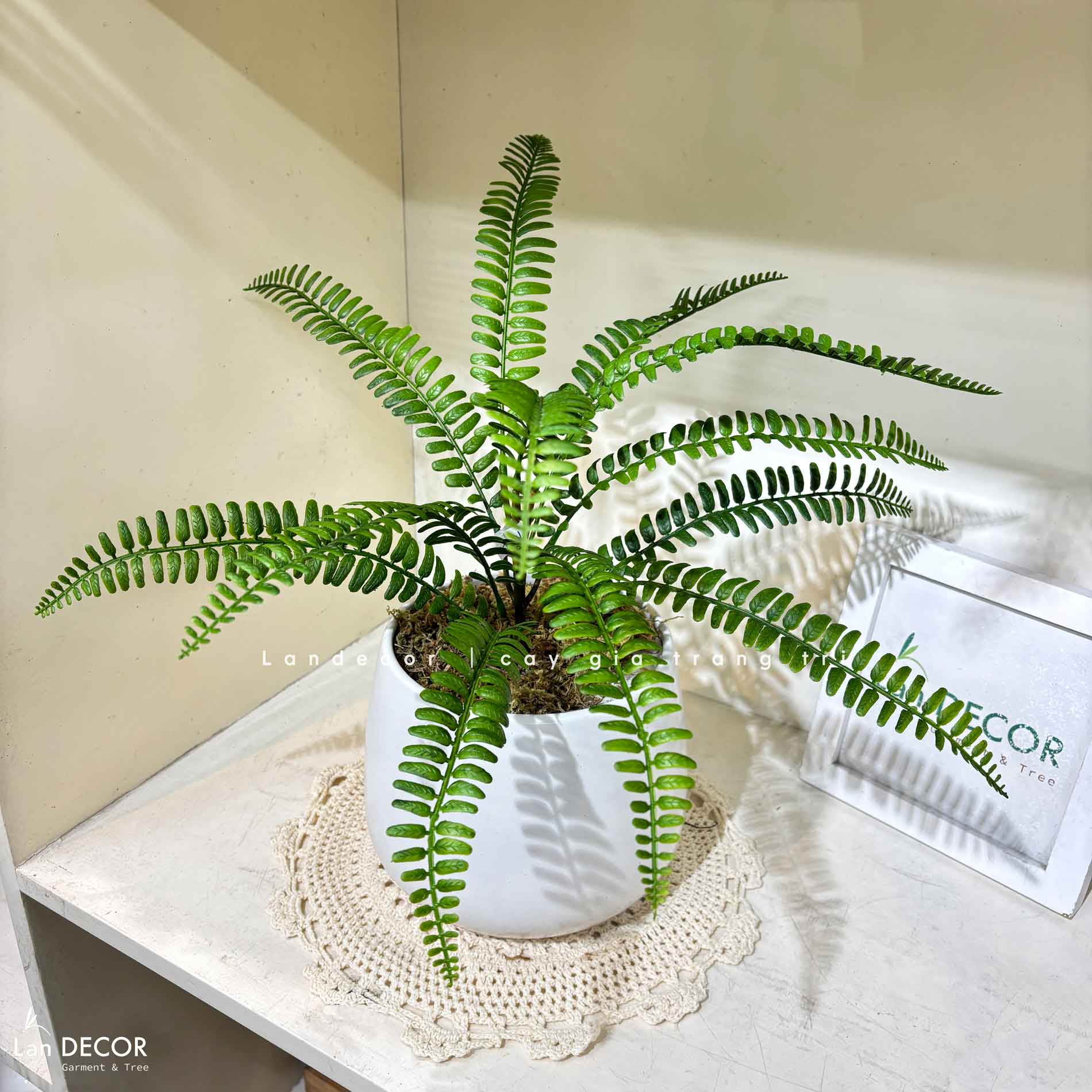 Cây Giả Để Bàn - Chậu Cây Dương Xỉ Gỉa Decor Kệ Tủ Xanh (45cm) - CC1481