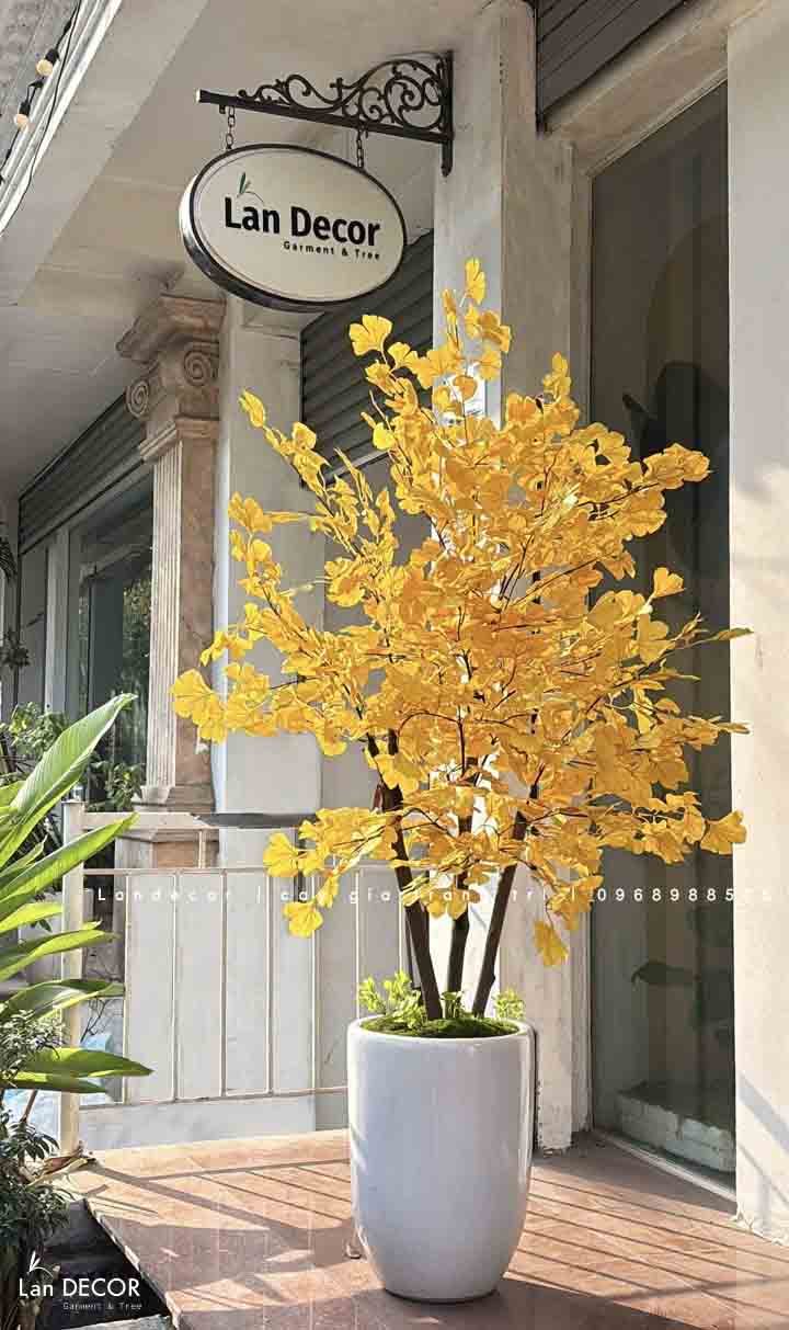 Cây Giả Decor - Cây Ngân Hạnh Trang Trí Không Gian Rực Rỡ (170cm)- CC998
