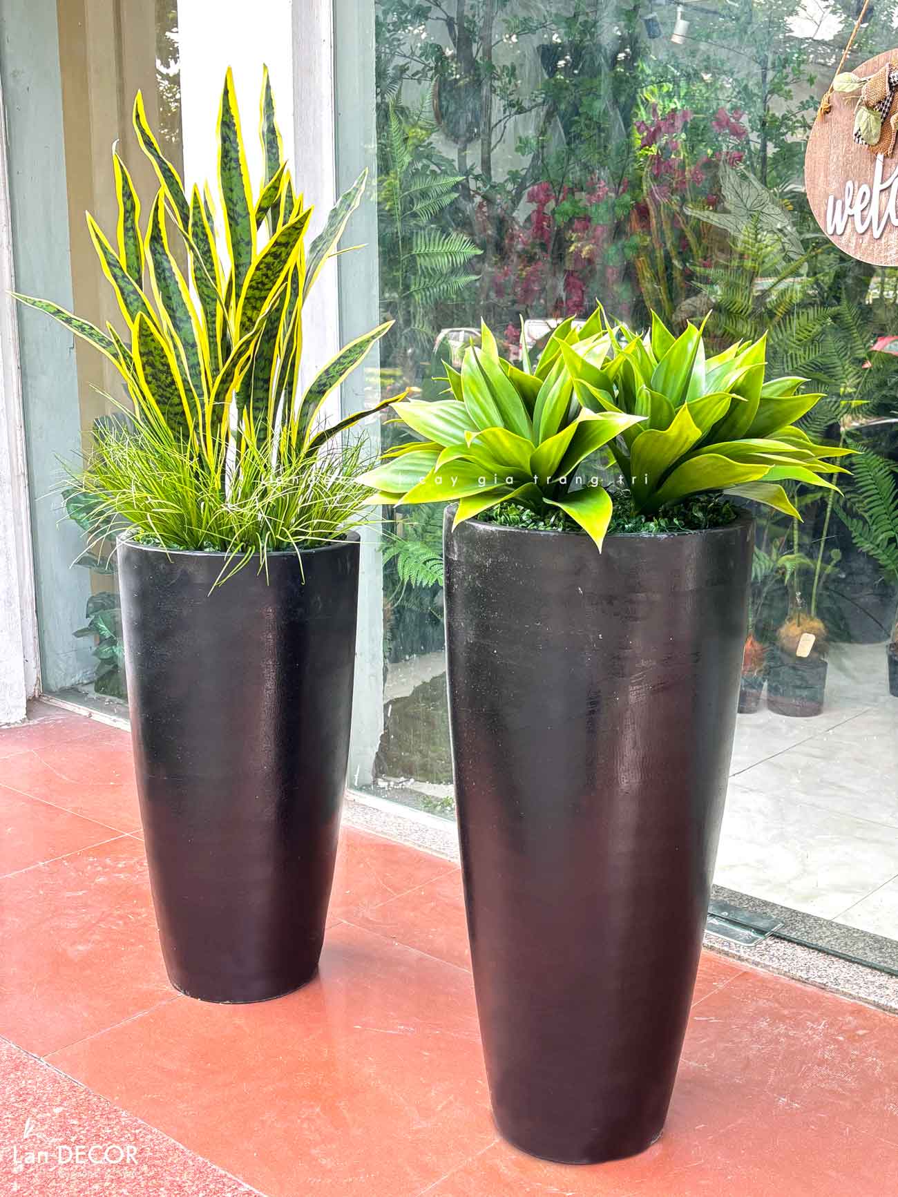 chau-cay-gia-decor