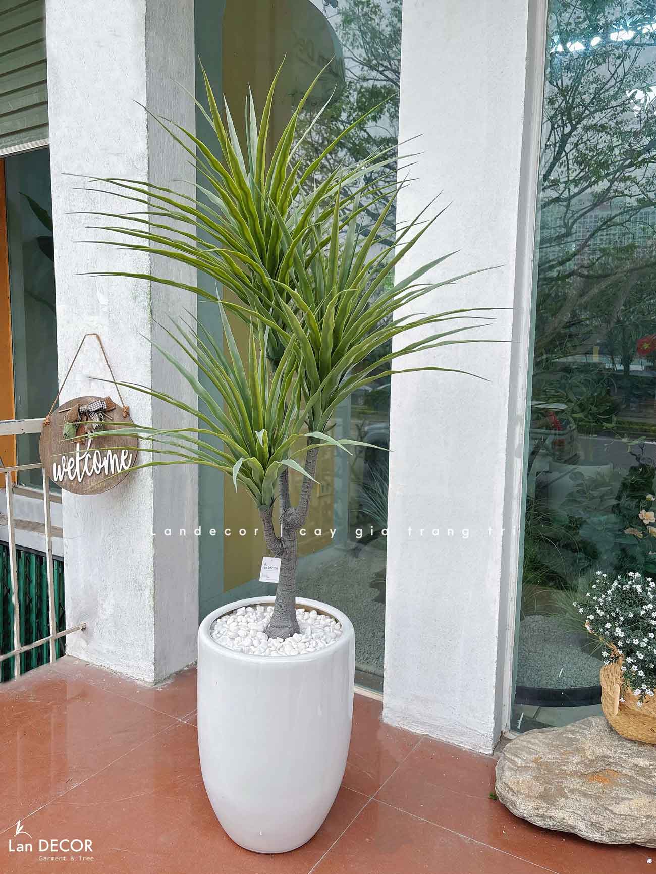 Cây Giả- Cây Yucca Giả Thiết Kế Không Gian Xanh (135cm)- LC3357