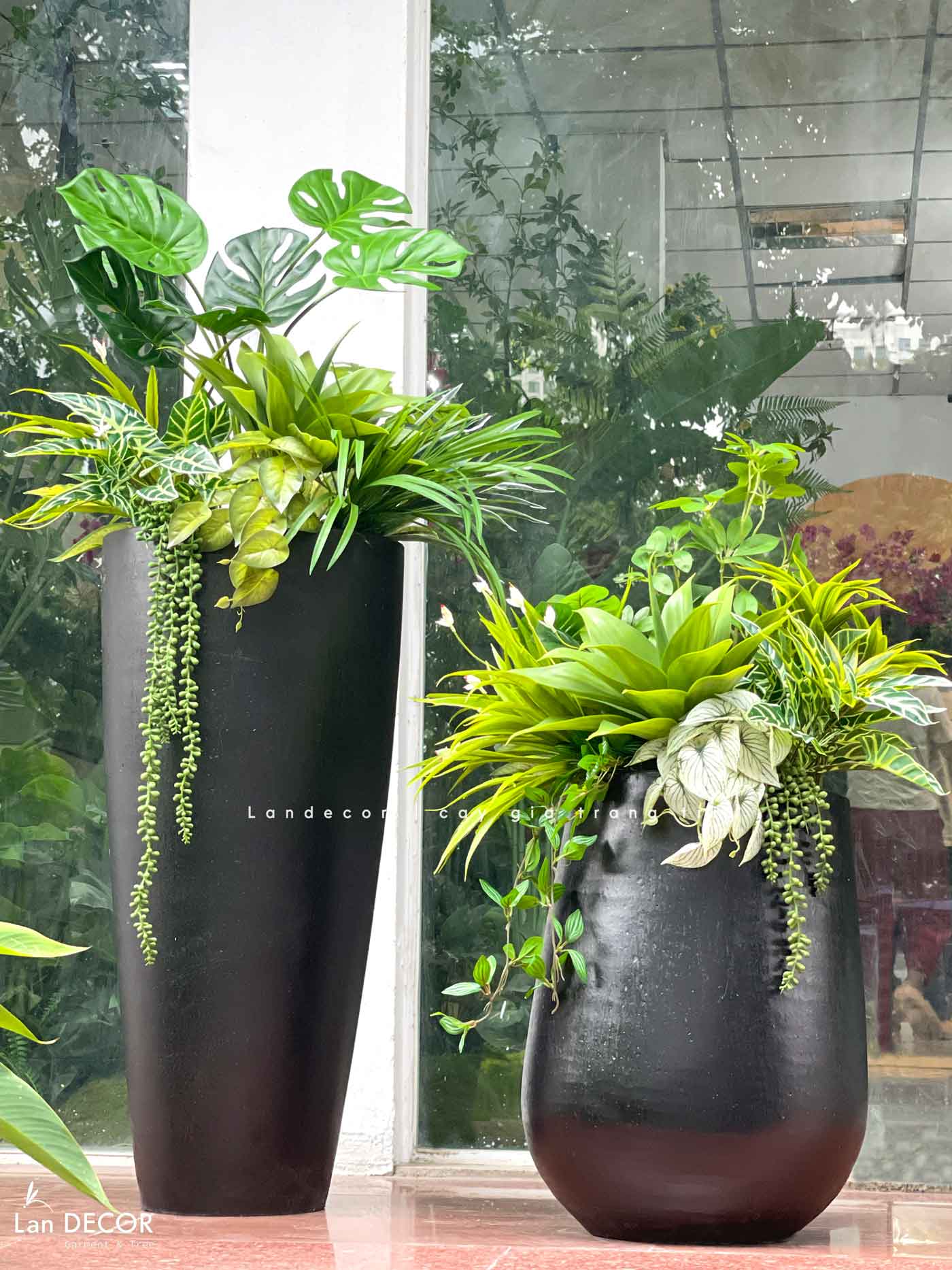 Concept Chậu Cây Tiểu Cảnh Decor Sảnh Văn Phòng, Trang Trí Cửa Hiệu, Quán Cafe