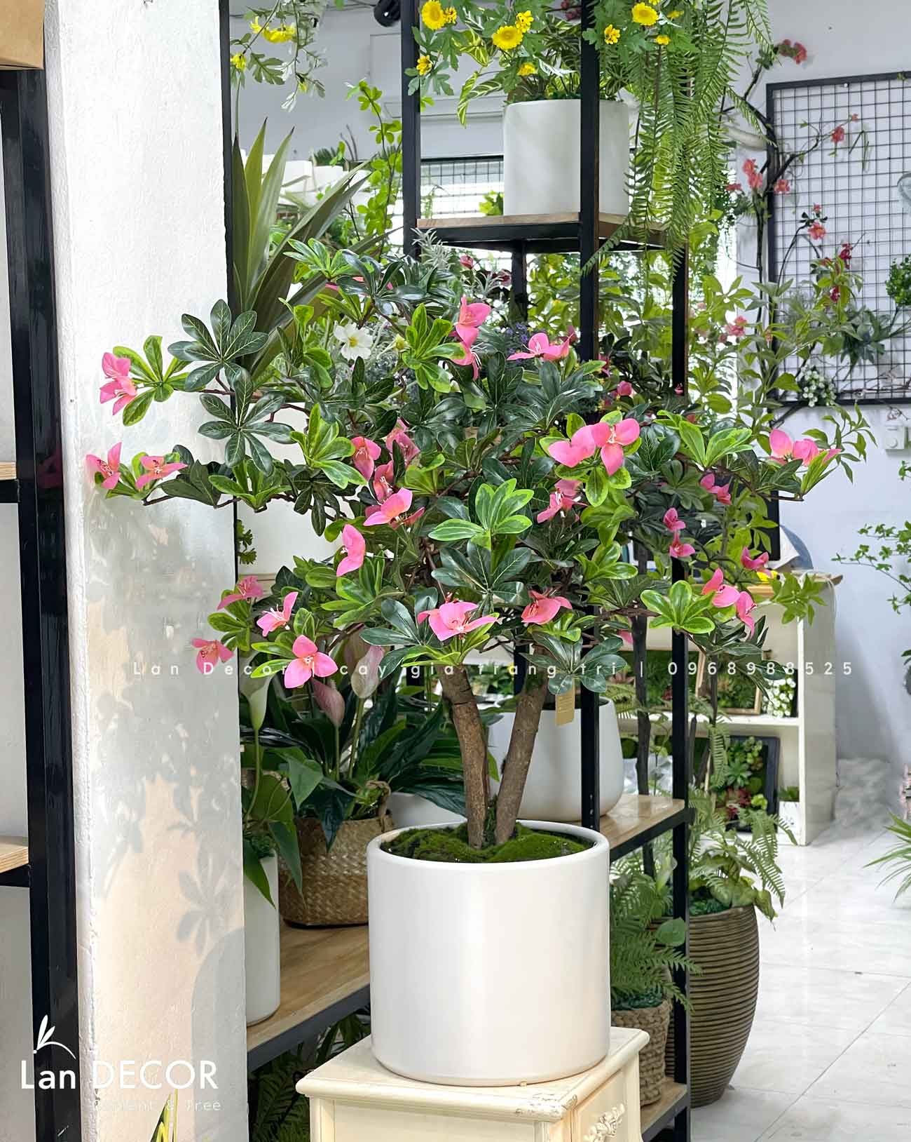 Cây hoa Đỗ Quyên dáng bonsai trang trí LanDecor (100cm) - CC550