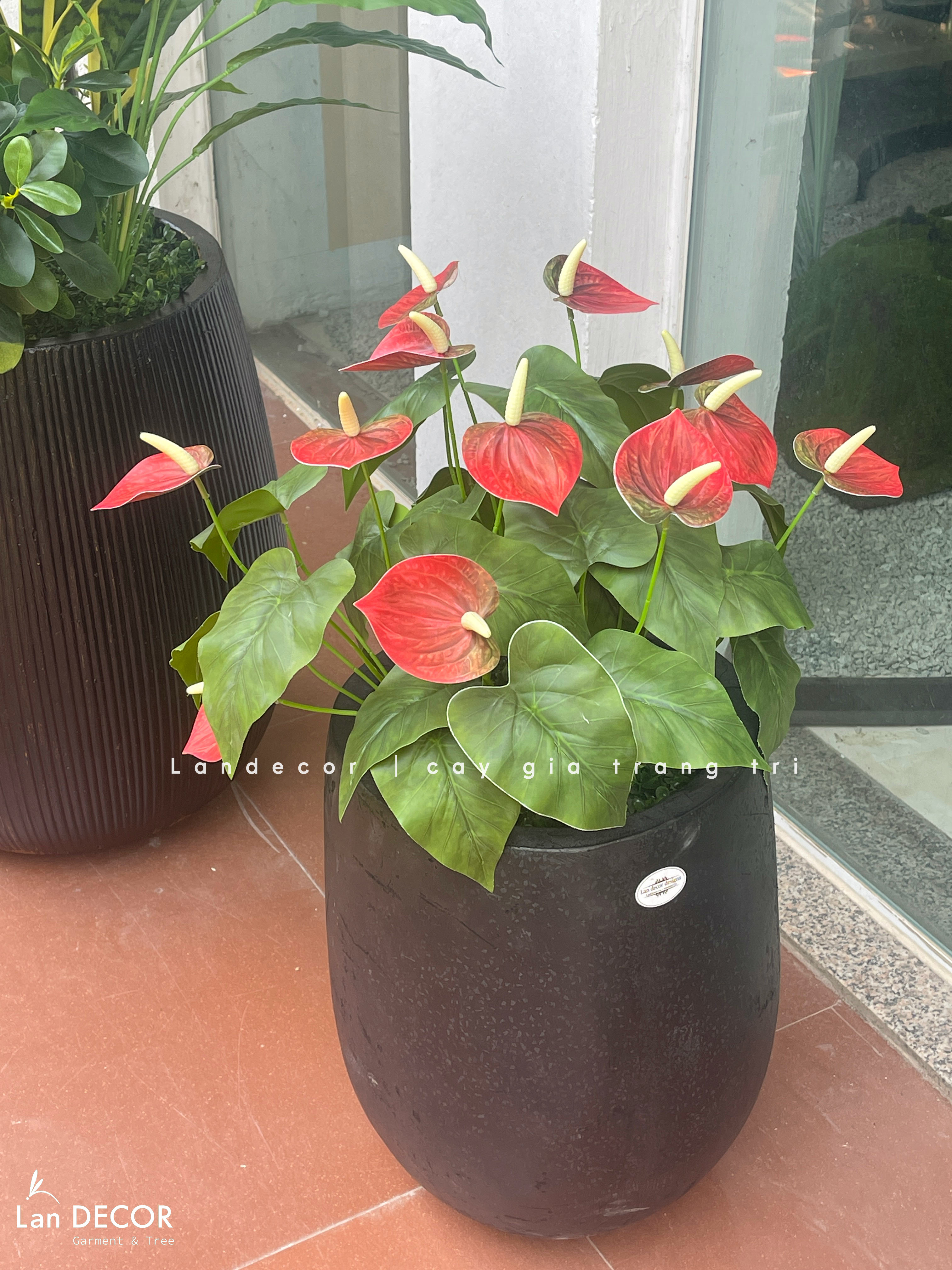 Cây Giả Tiểu Cảnh - Chậu Cây Hồng Môn Giả Decor Không Gian Độc Đáo (70cm)- CC1343