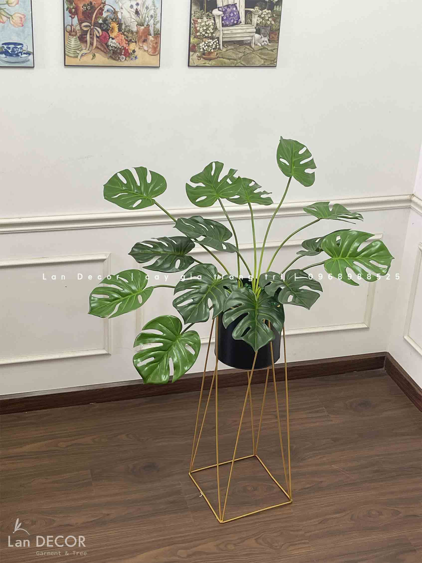 Kệ Monstera Trang Trí Hiện Đại- CC940