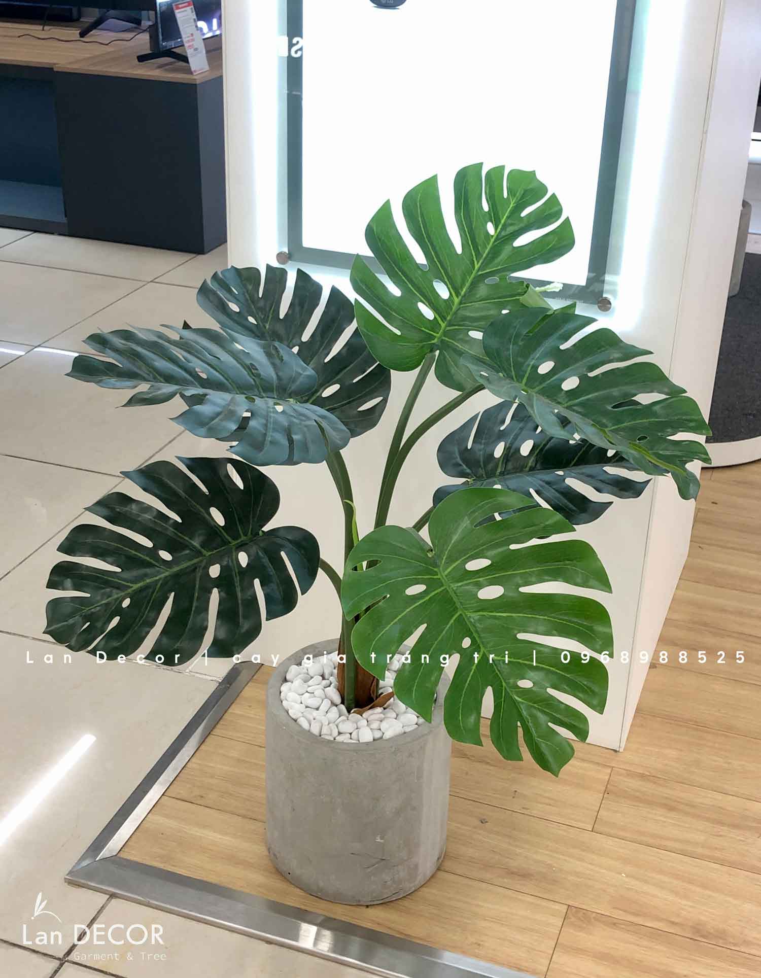 Cây Giả Decor - Cây Monstera Trang Trí Nhà Đẹp Landecor (85cm) - LC3057