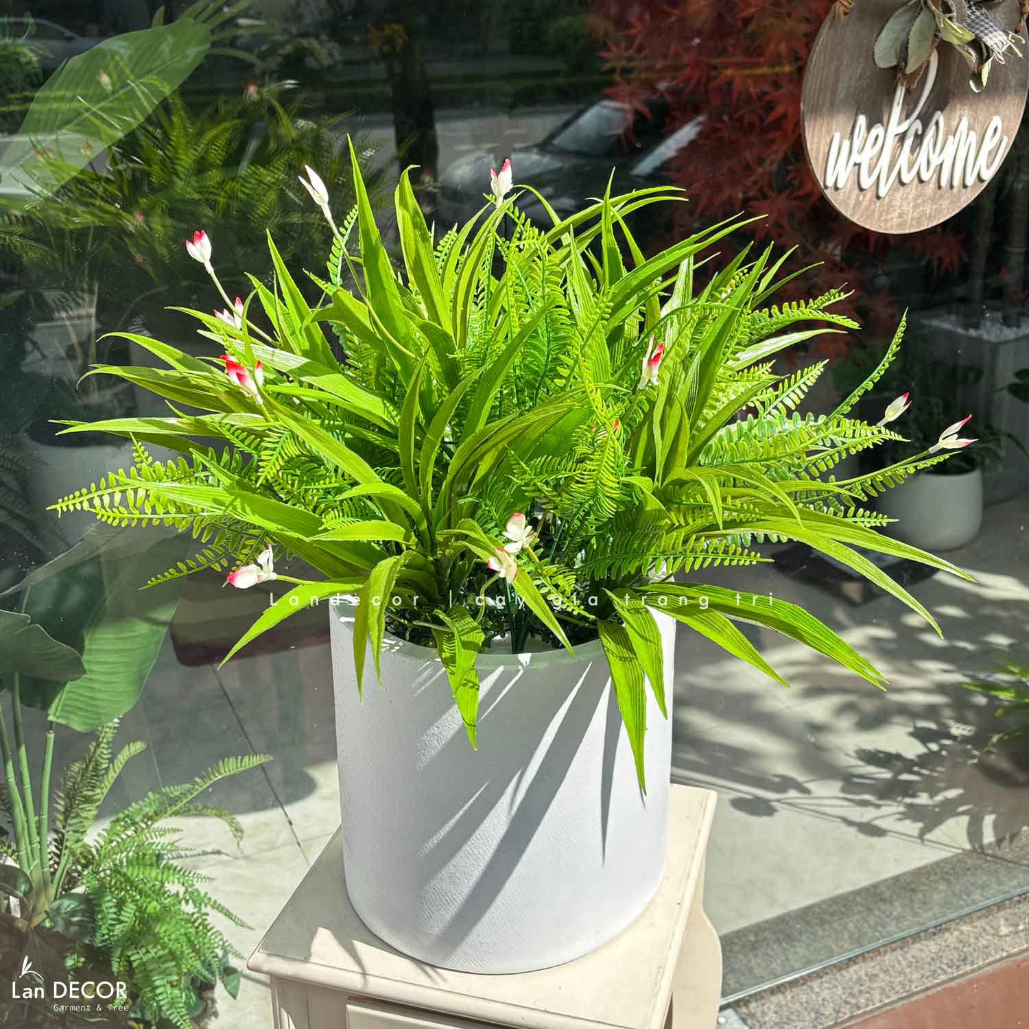 Cây Để Bàn- Chậu Cây Lan Trắng Xanh Tươi Decor Nội Thất Văn Phòng - CC1197