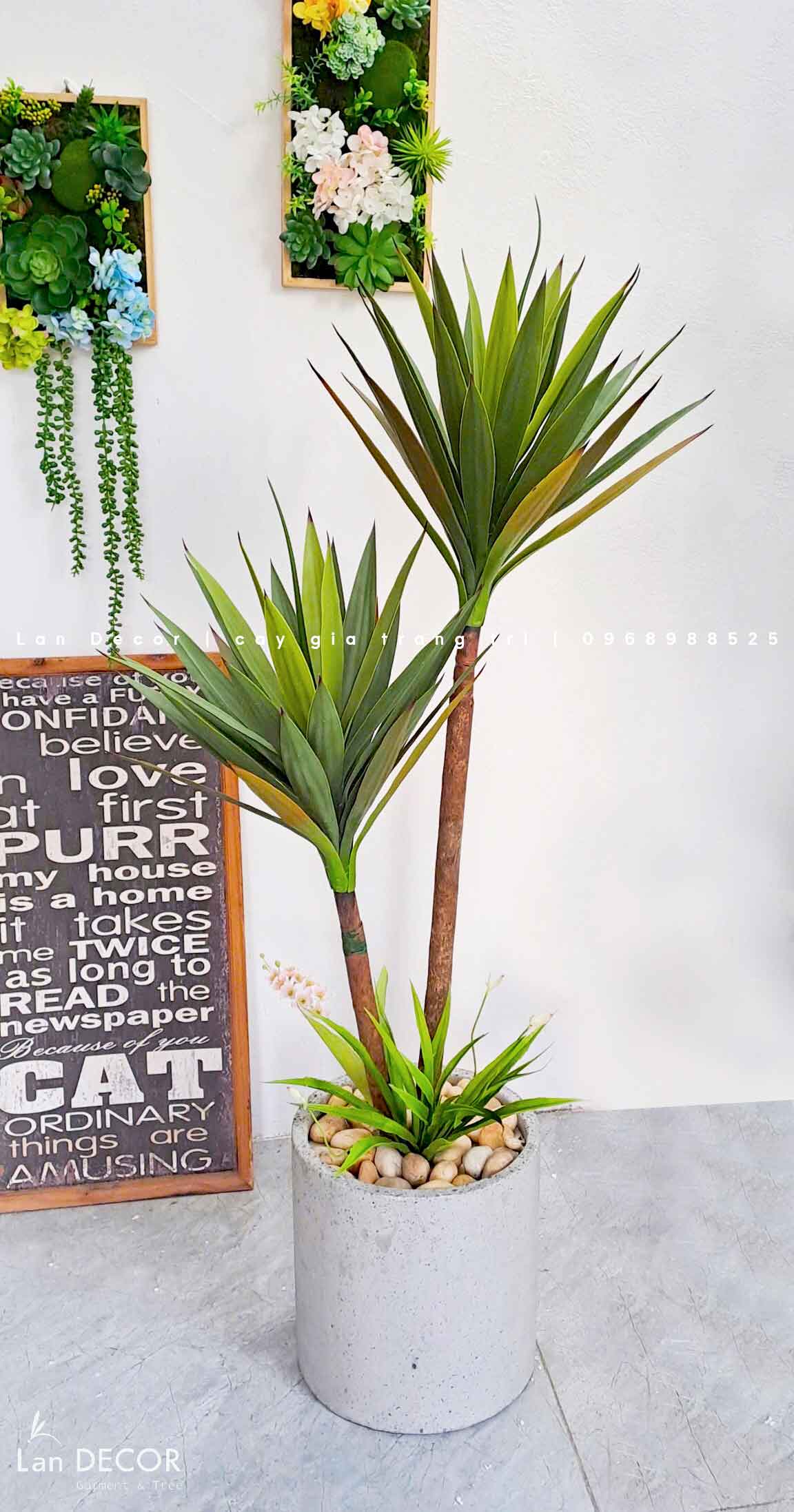 Chậu Cây Lô Hội Trang Trí Phòng Khách Ấn Tượng (130cm)- CC954-1