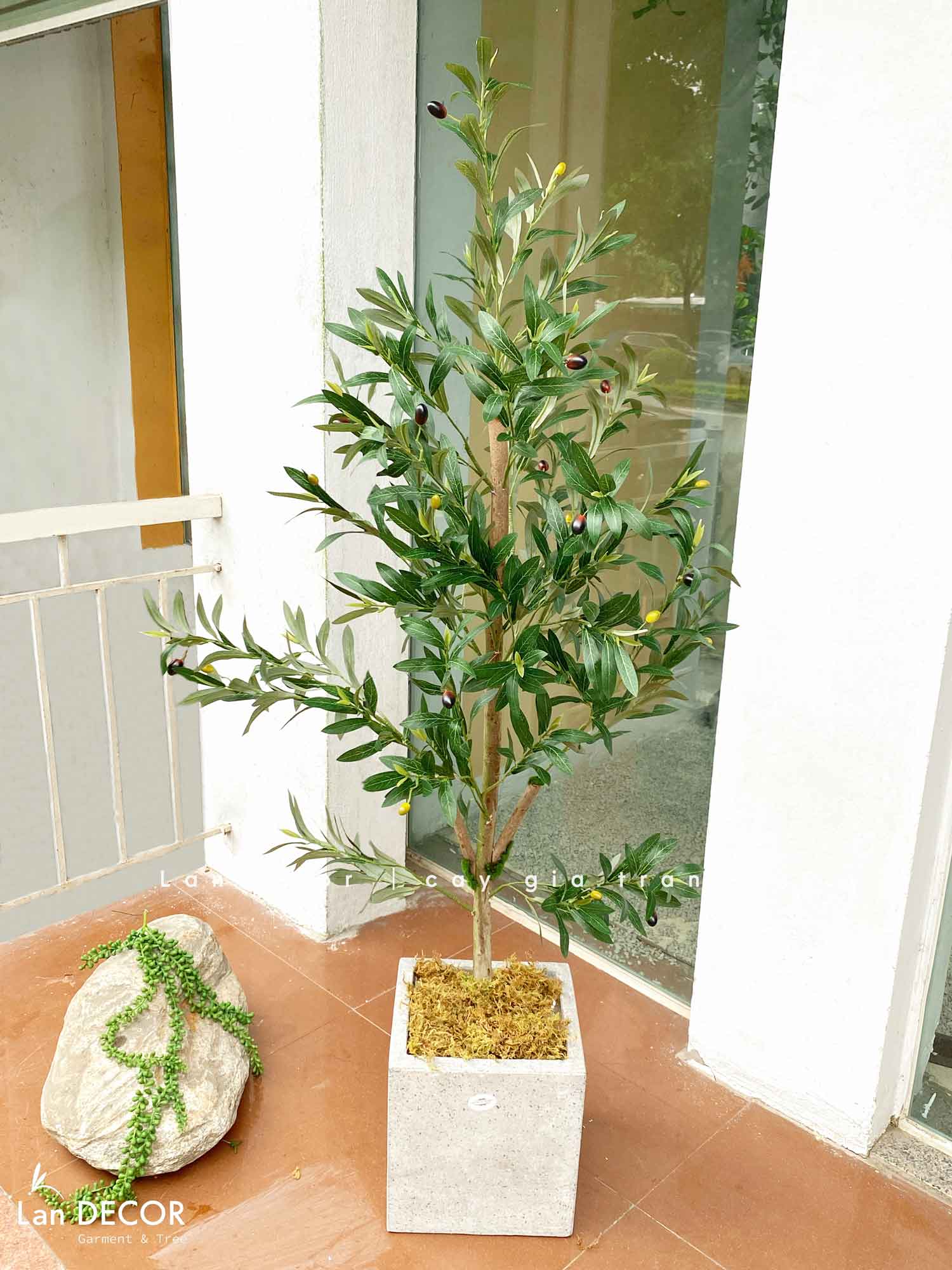 Cây Xanh Giả- Cây Olive Giả Decor Không Gian Tối Giản (150cm)- CC1288