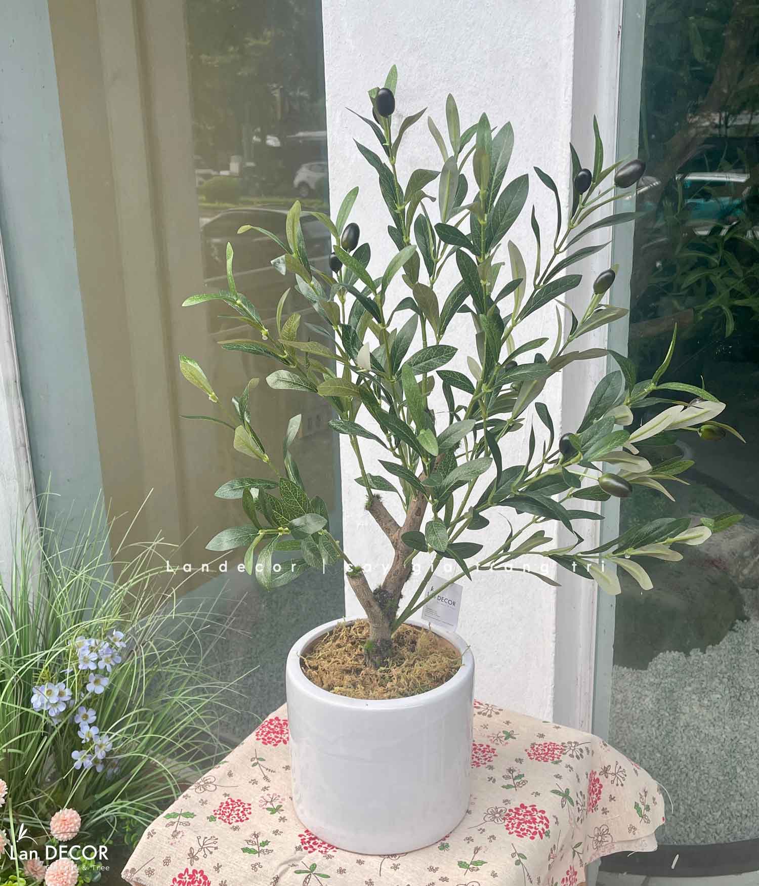 Cây Giả- Cây Olive Giả Để Bàn Trang Trí Văn Phòng Xanh (70cm)- CC1304