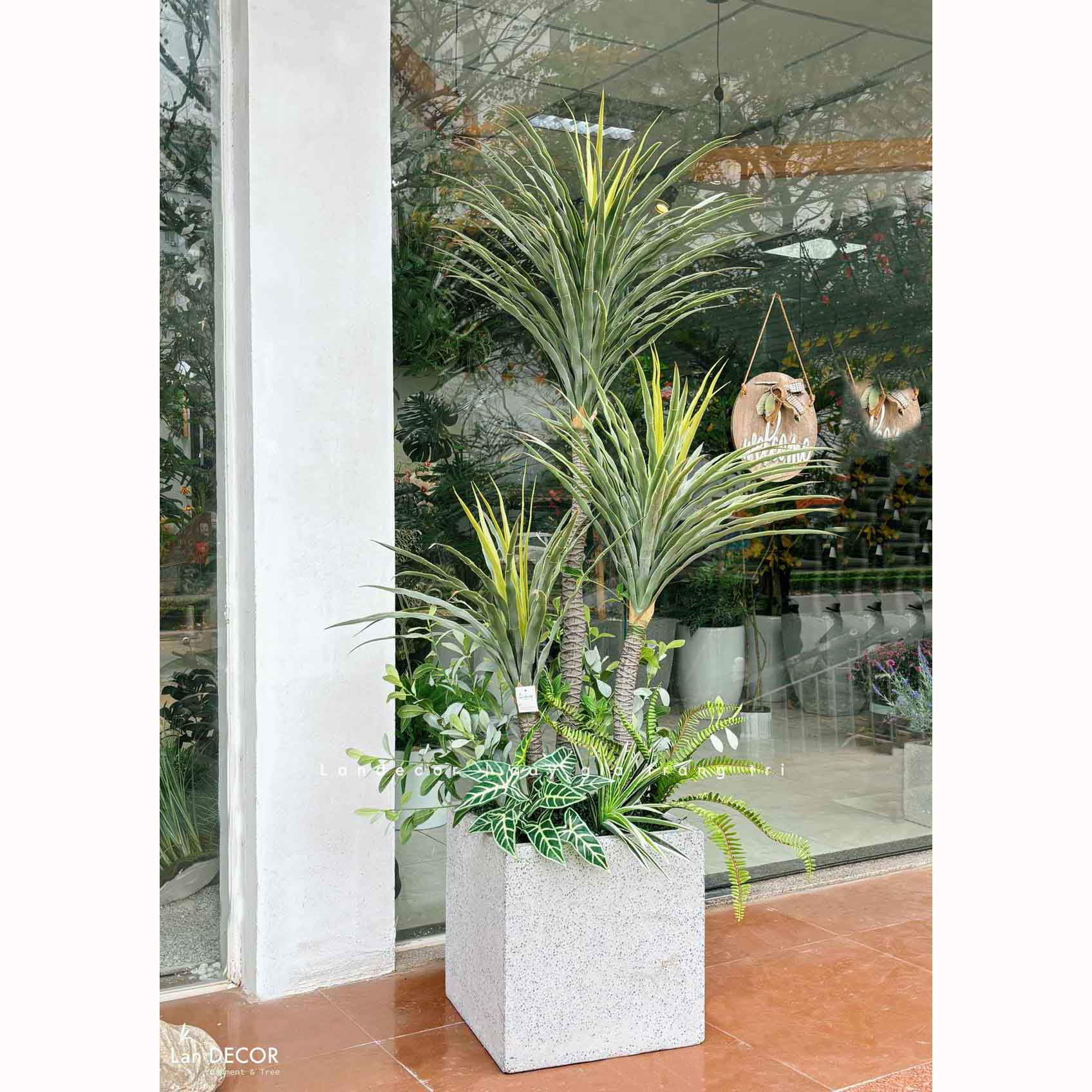 Cây Giả- Cây Phát Tài Núi Giả Decor Văn Phòng Công Ty, Cửa Hiệu (180cm)- LC3159-5