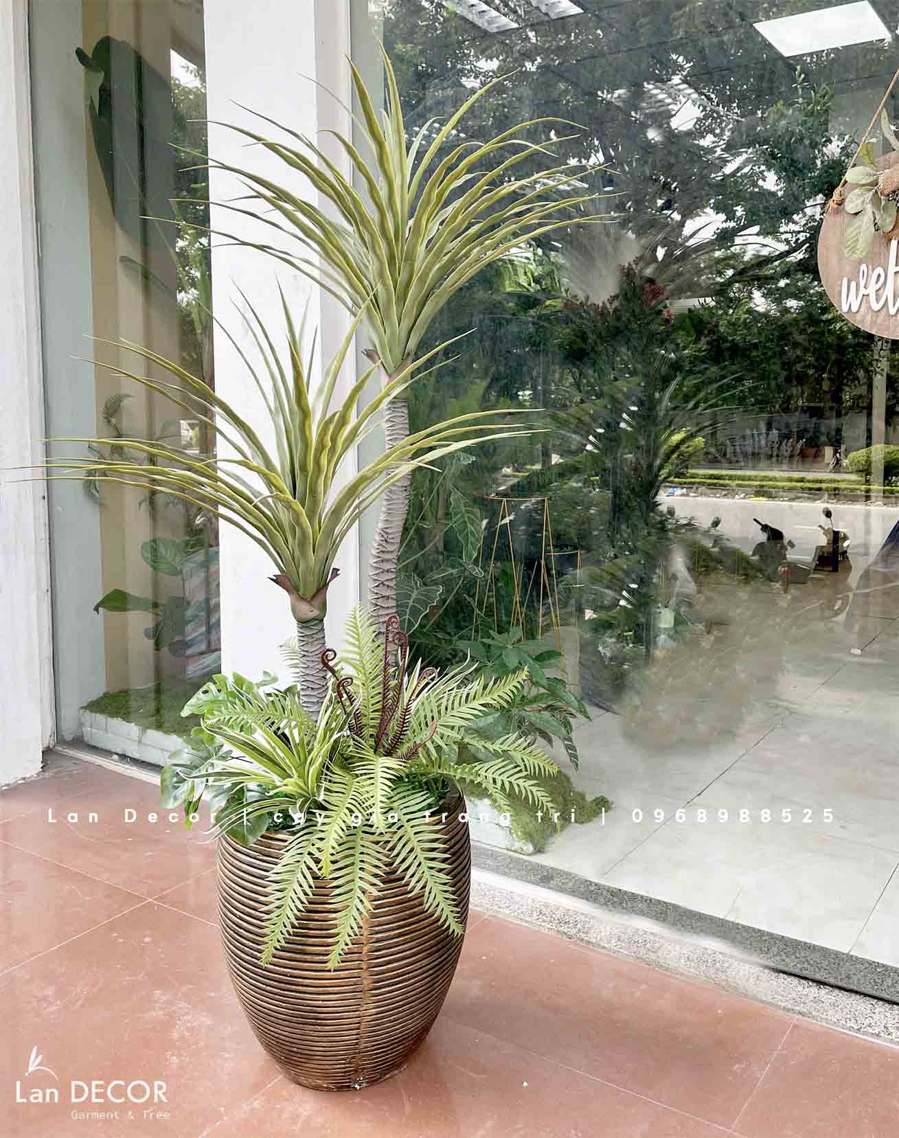 Cây Giả Decor- Cây Phát Tài Núi Trang Trí Tiểu Cảnh (135cm)- LC3040