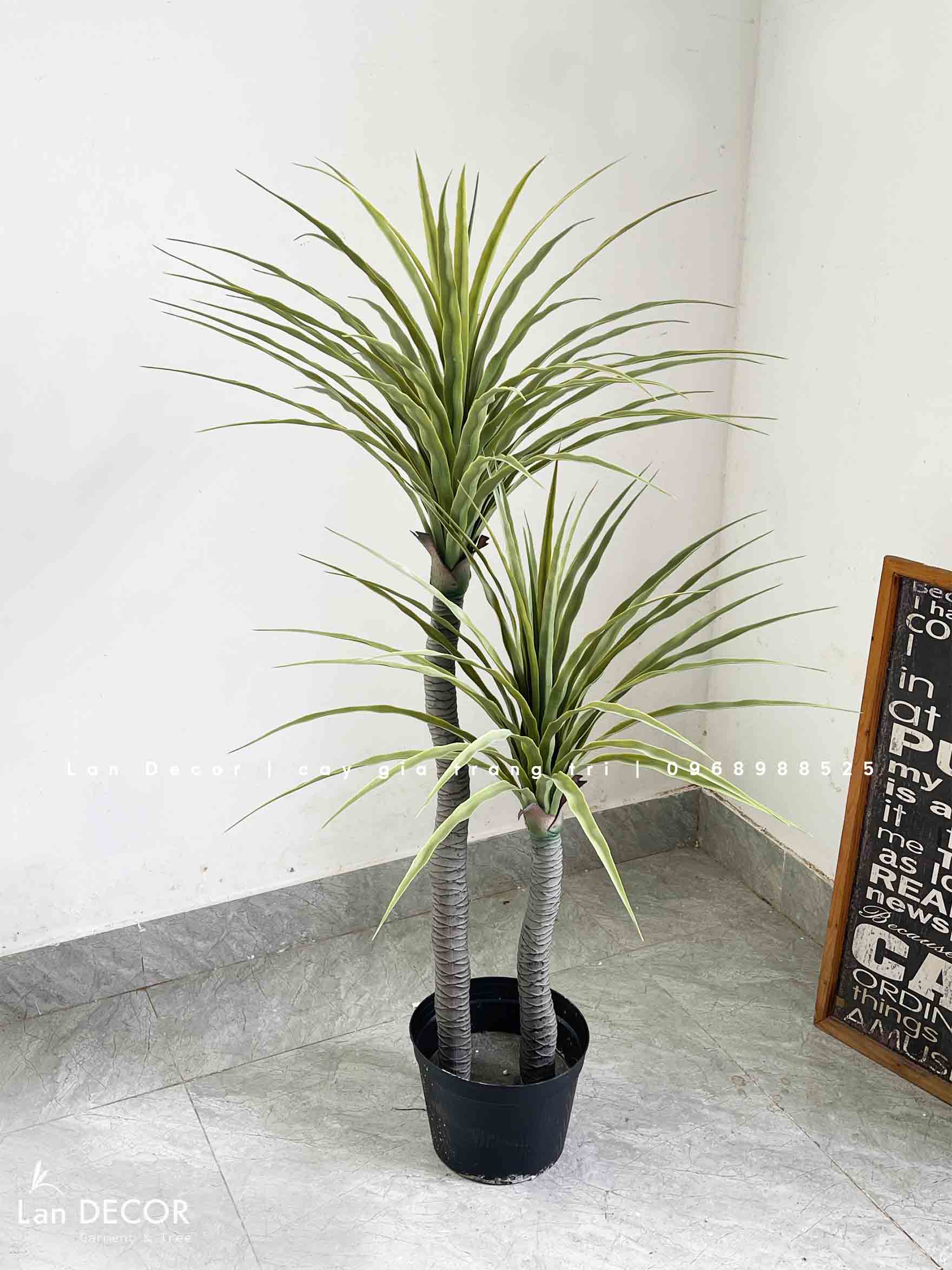 Cây Giả Decor- Cây Phát Tài Núi Trang Trí Tiểu Cảnh (135cm)- LC3040