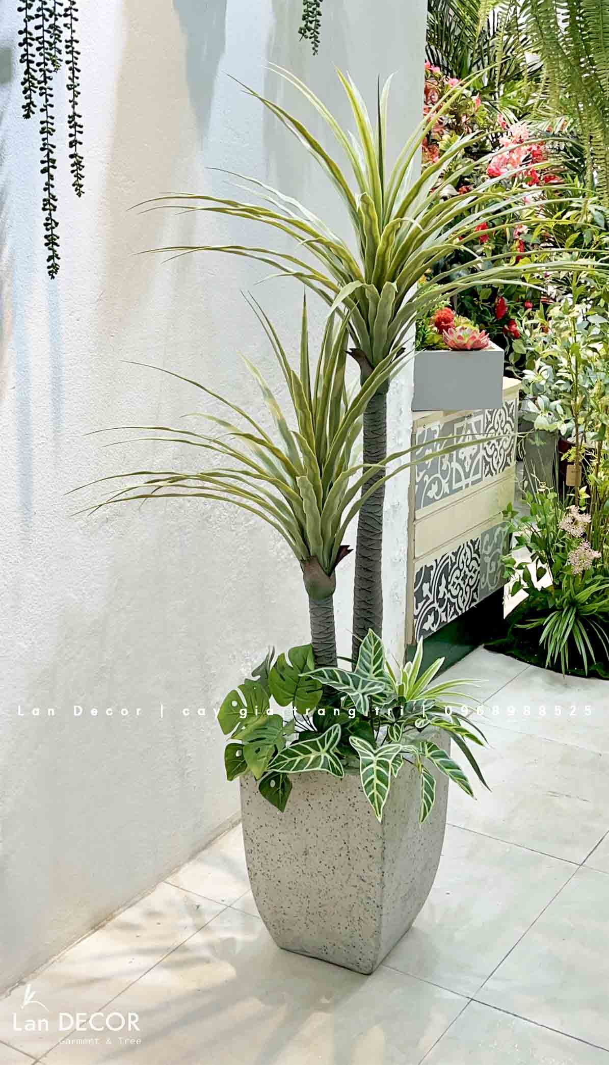 Cây Giả Decor- Cây Phát Tài Núi Trang Trí Tiểu Cảnh (135cm)- LC3040