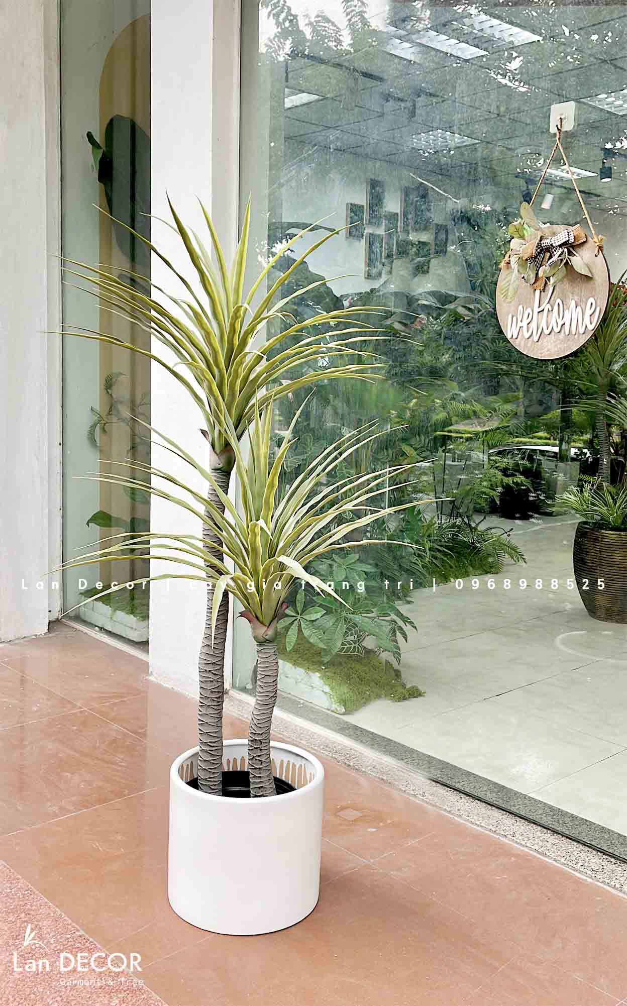 Cây Giả Decor- Cây Phát Tài Núi Trang Trí Tiểu Cảnh (135cm)- LC3040