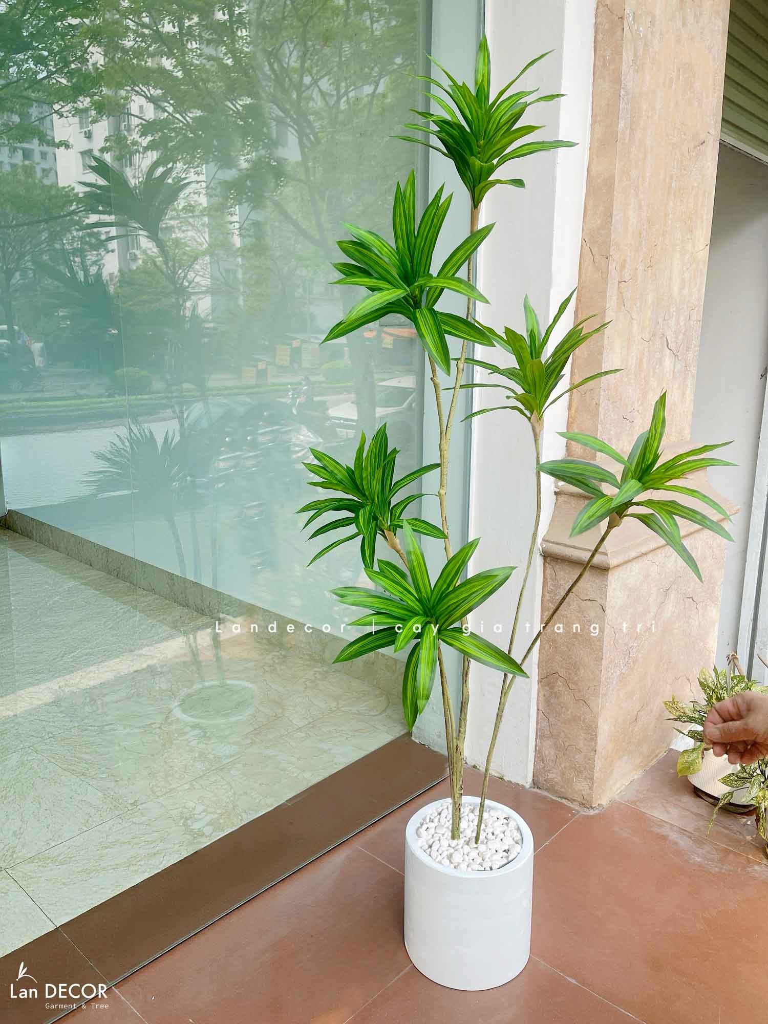 Cây Giả Trang Trí- Cây Thiết Mộc Lan Giả Decor Không Gian Độc Đáo (160cm)- LC3737-1-XANH