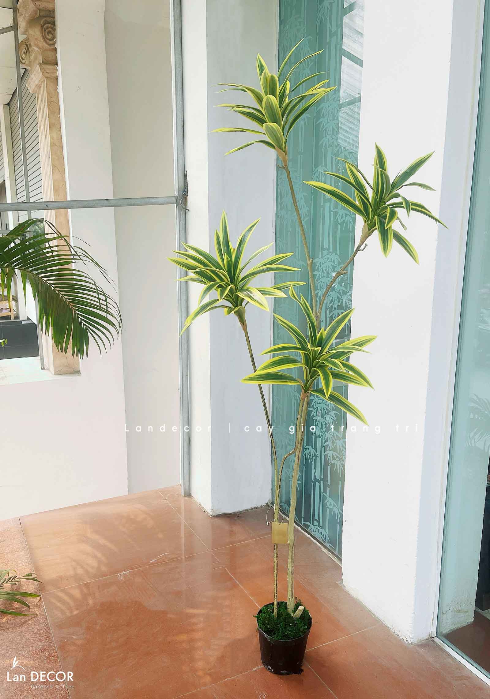 Cây Lá Giả- Cây Thiết Mộc Lan Giả 4 Nhánh Trang Trí Căn Hộ Kiểu Mới (150cm)- LC3736-vàng
