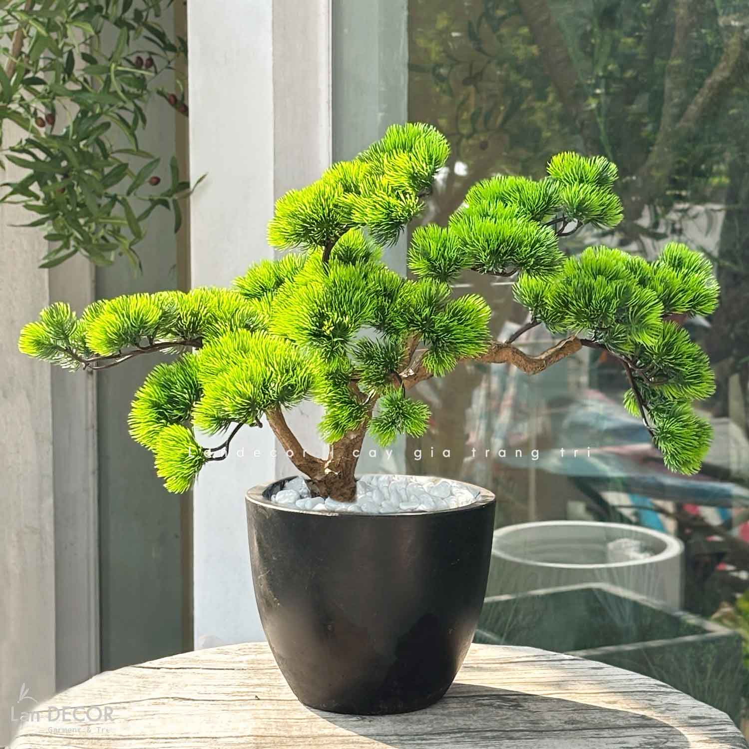 Cây Bonsai Thiết Kế - Cây Tùng Bonsai Giả Thiết Kế Để Bàn Phòng Khách (55cm)- CC1272