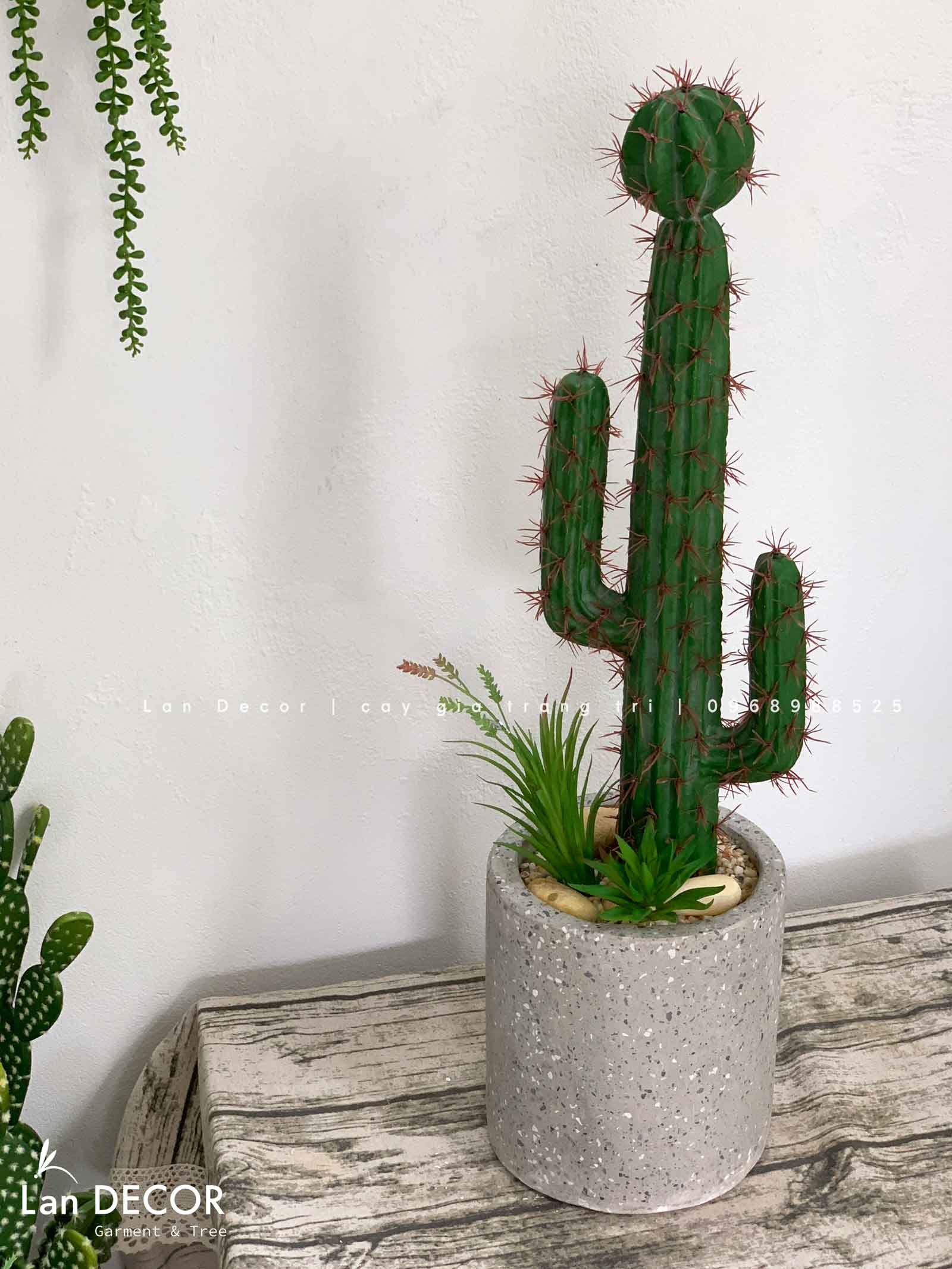 Decor Xương Rồng- Chậu Xương Rồng Trang Trí Phong Cách Sa Mạc (70cm)- CC956