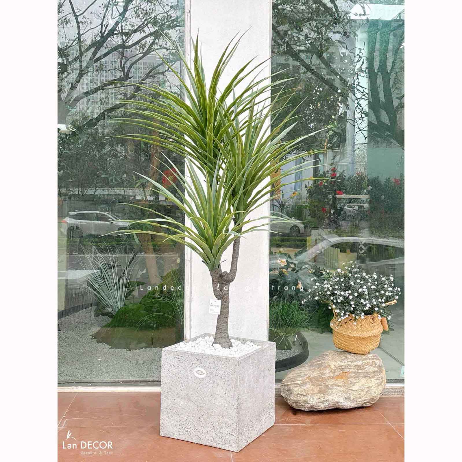 Cây Giả- Cây Yucca Giả Thiết Kế Không Gian Xanh (135cm)- LC3357